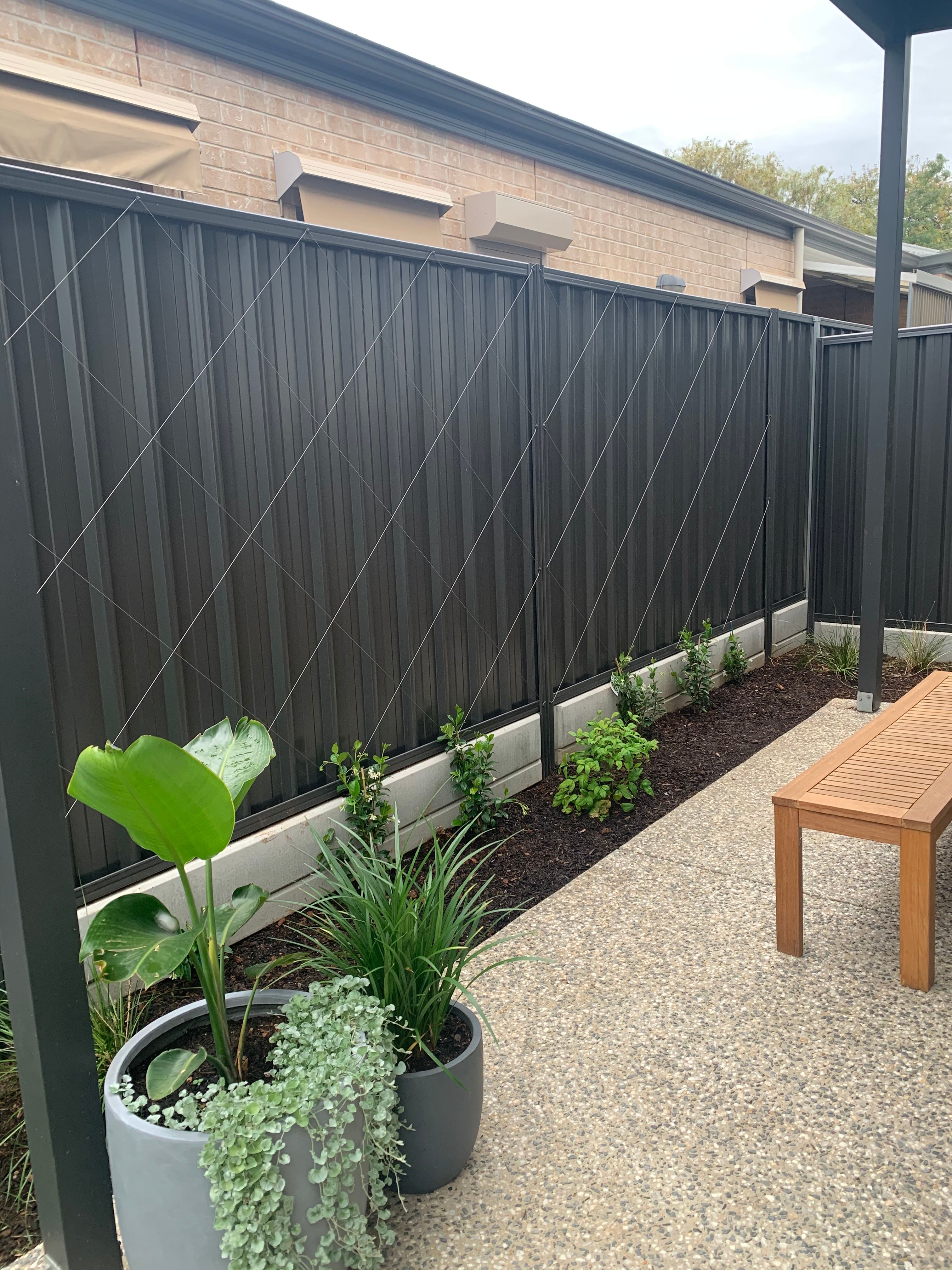 Climbers to dress up Colorbond fence Page 4 Bunnings community