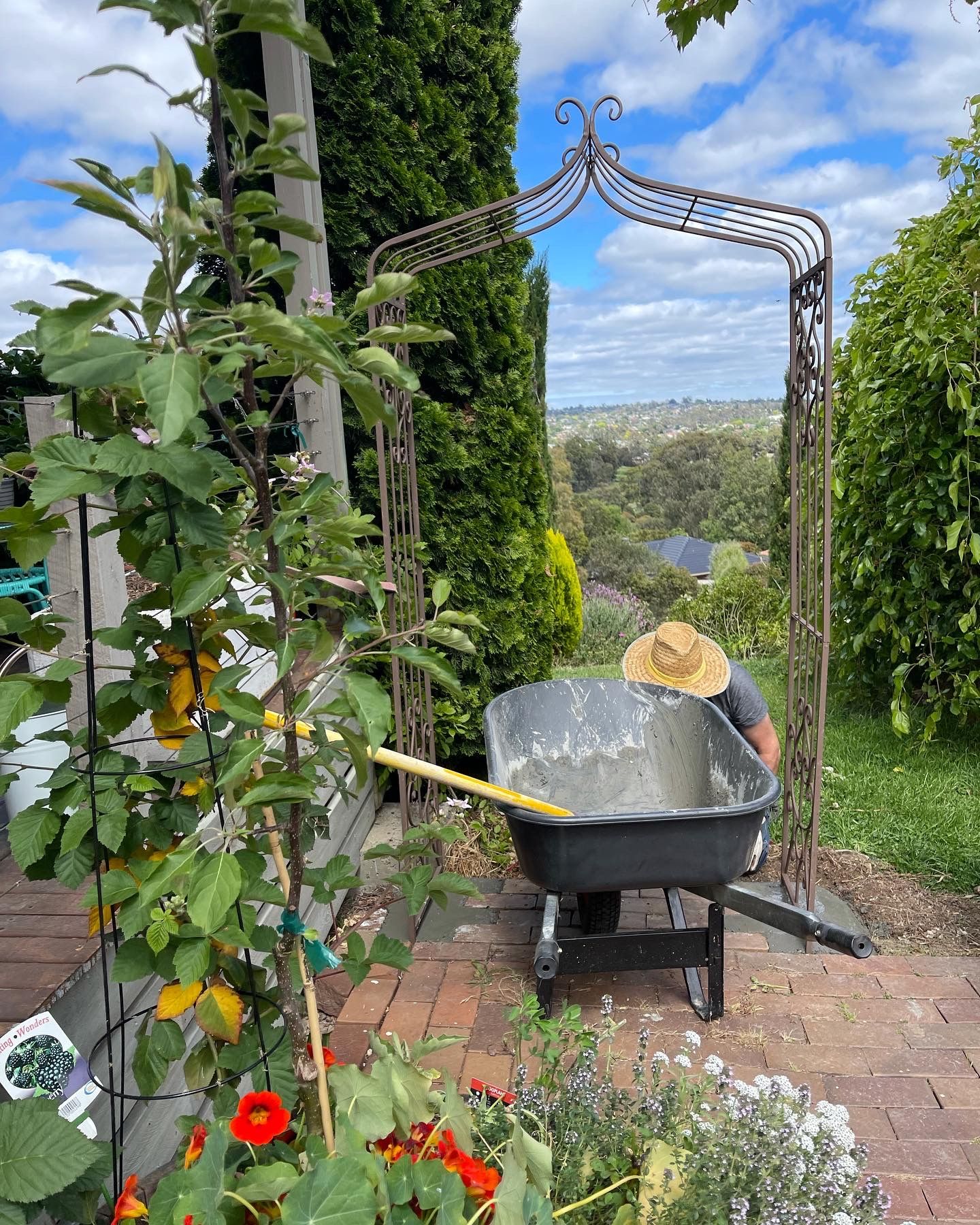 Garden arches Bunnings community