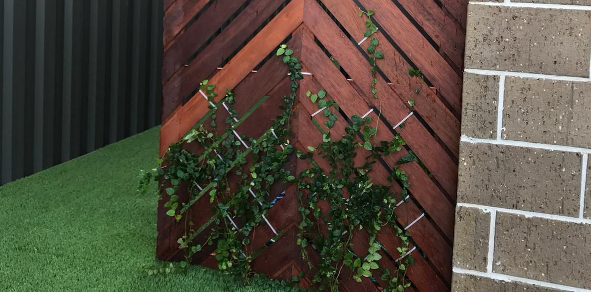 Ideas to revamp your side yard Bunnings community