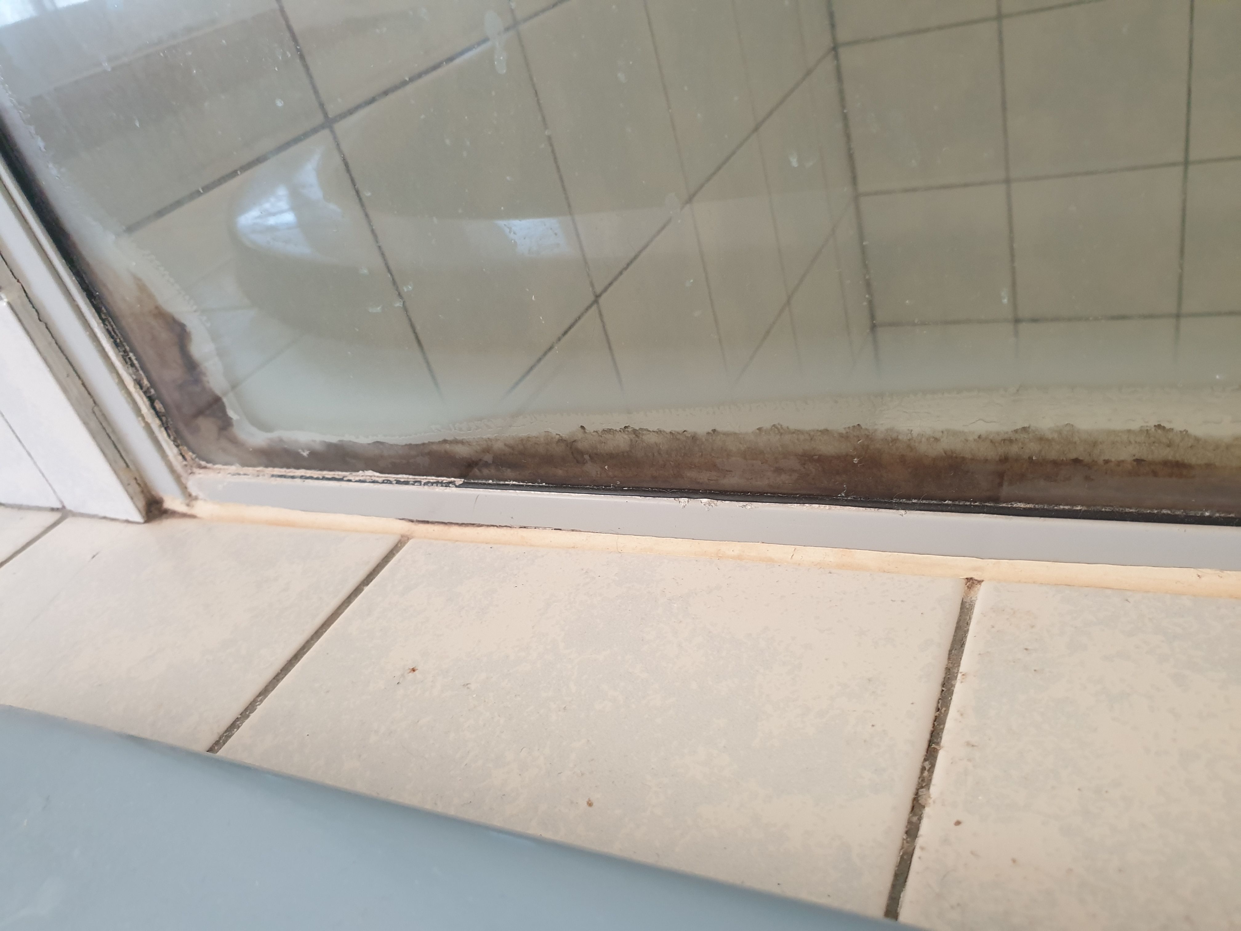 Shower screen & door cleaning Bunnings community