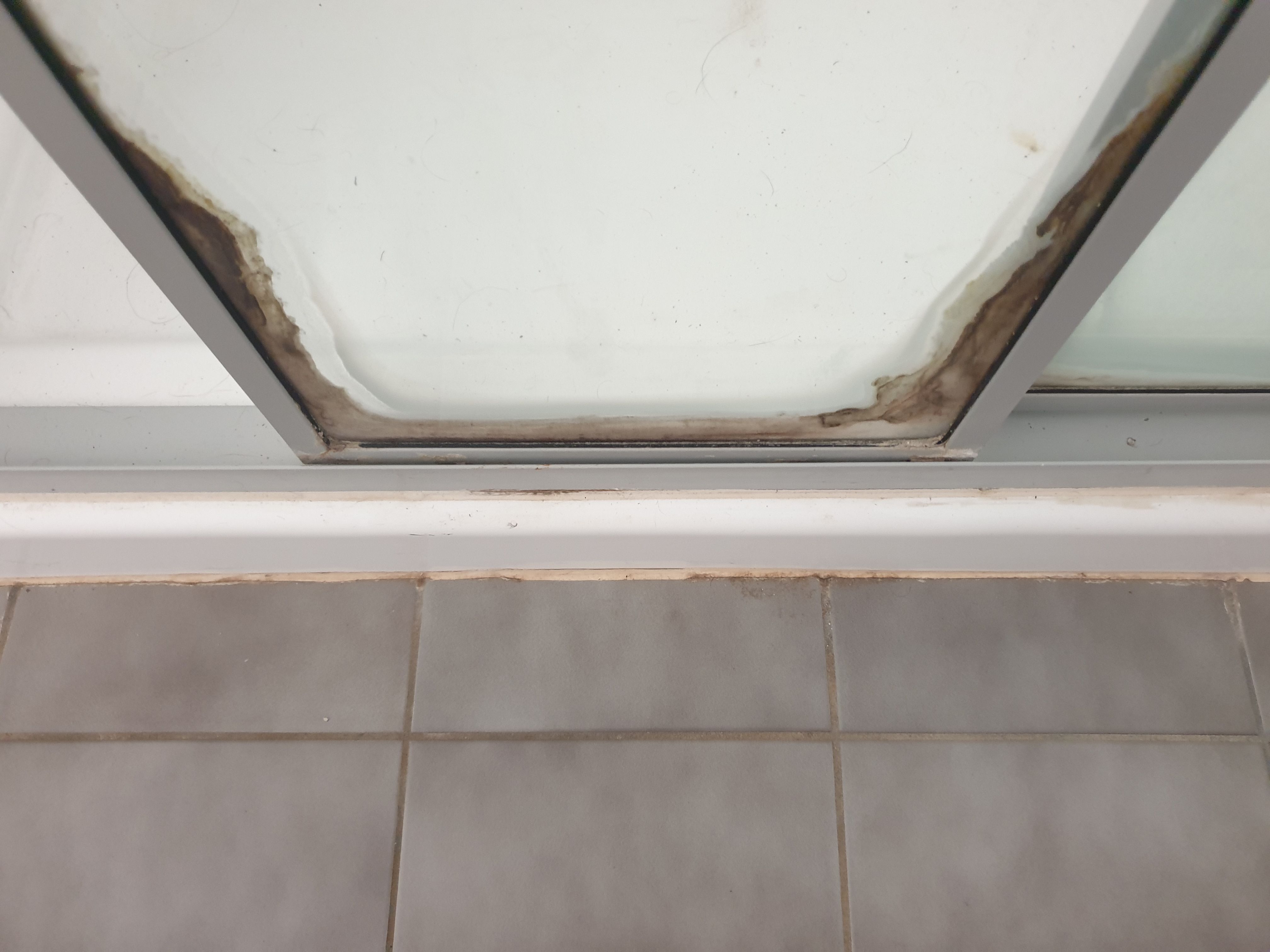 Shower screen & door cleaning Bunnings community