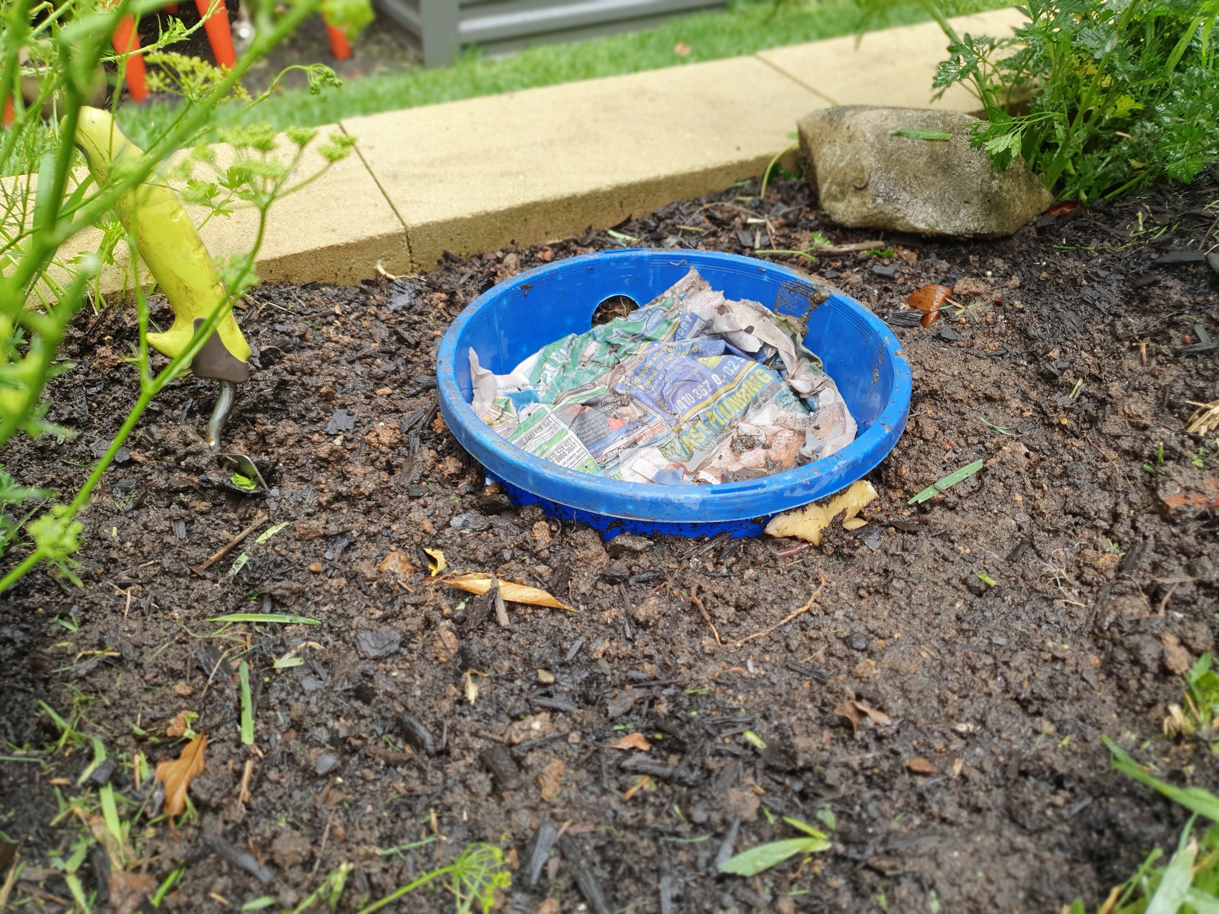 Dividing inground worm farms Bunnings community