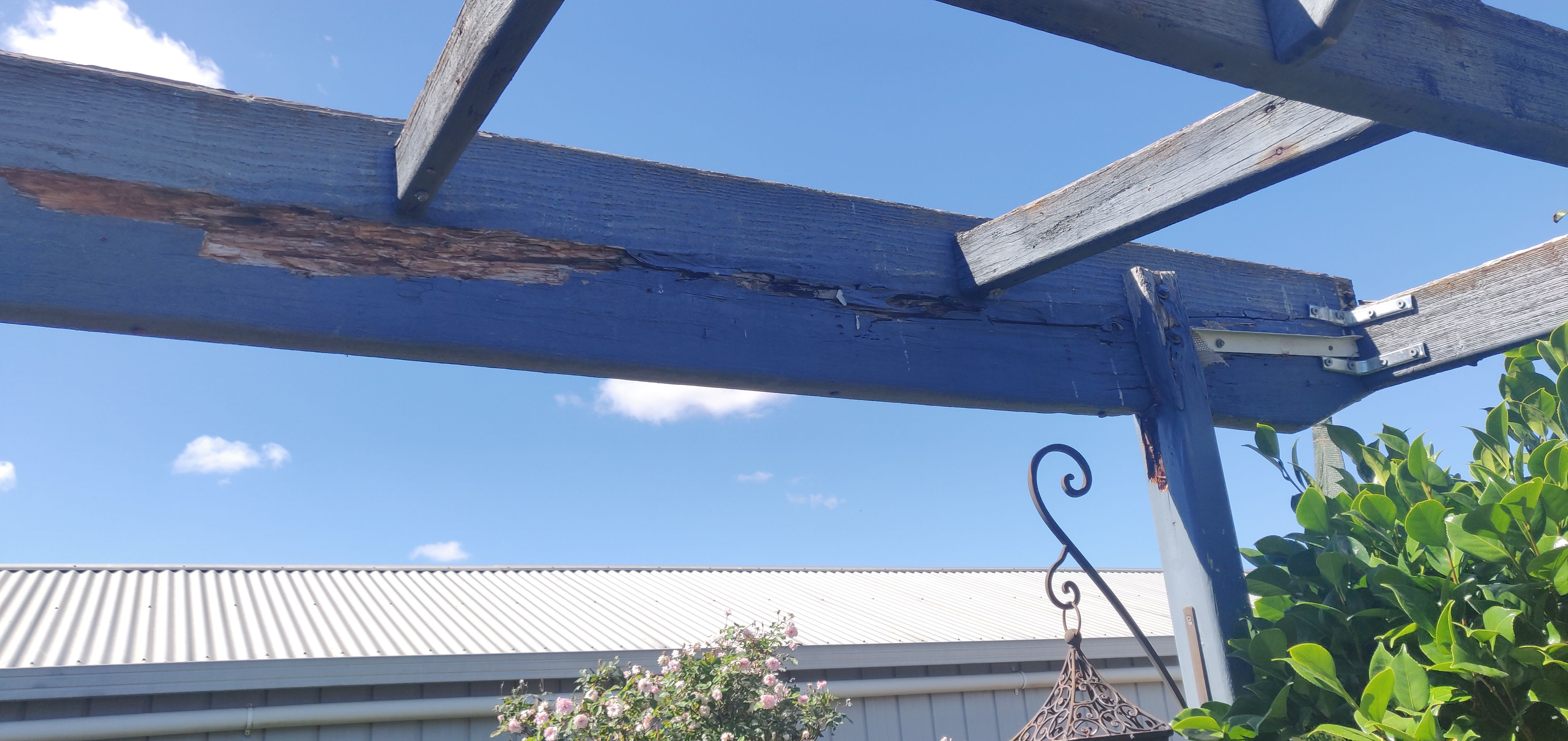 How to replace a rotted pergola post? Bunnings community