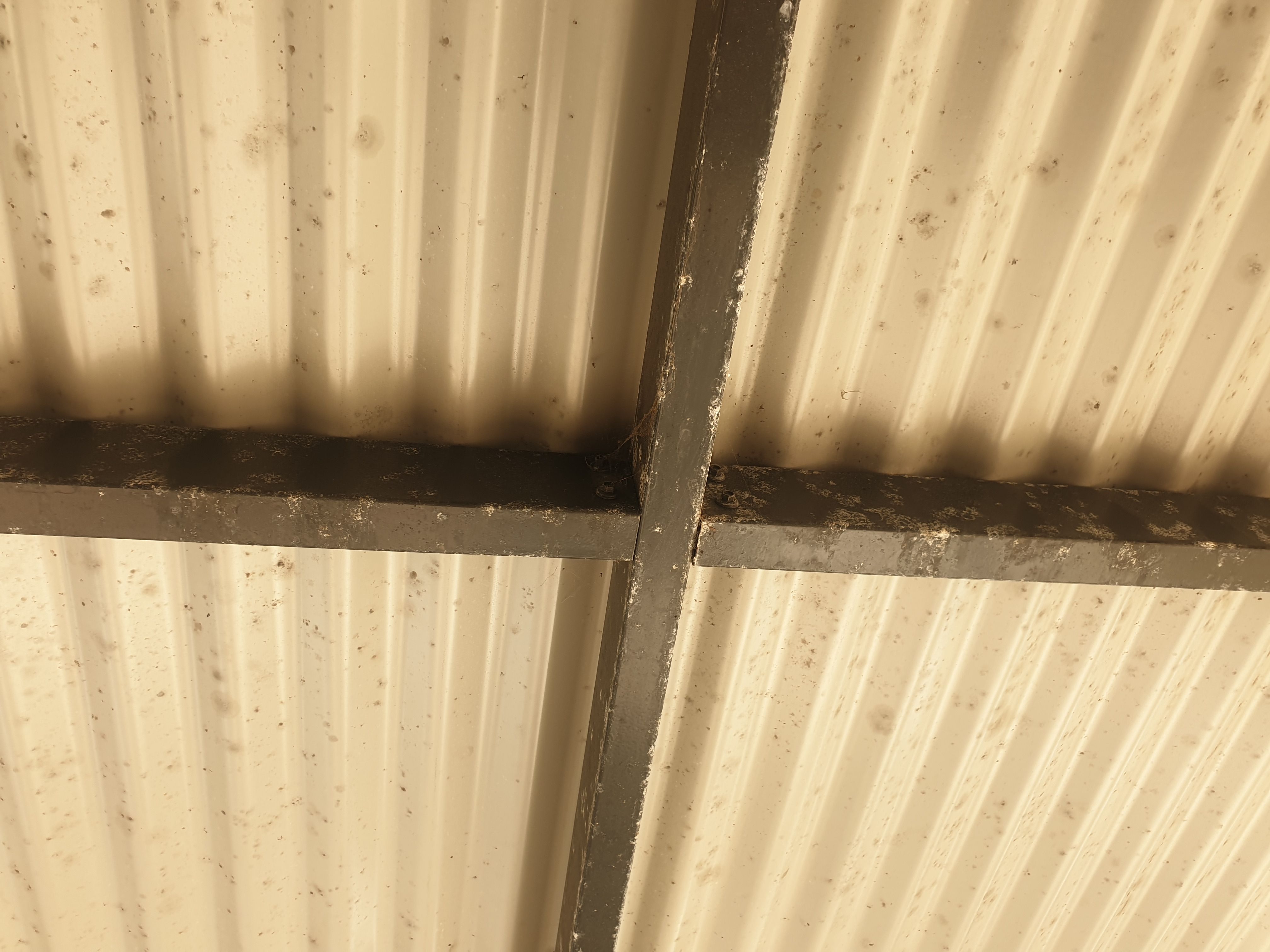 How to stop condensation on patio roof? Bunnings community
