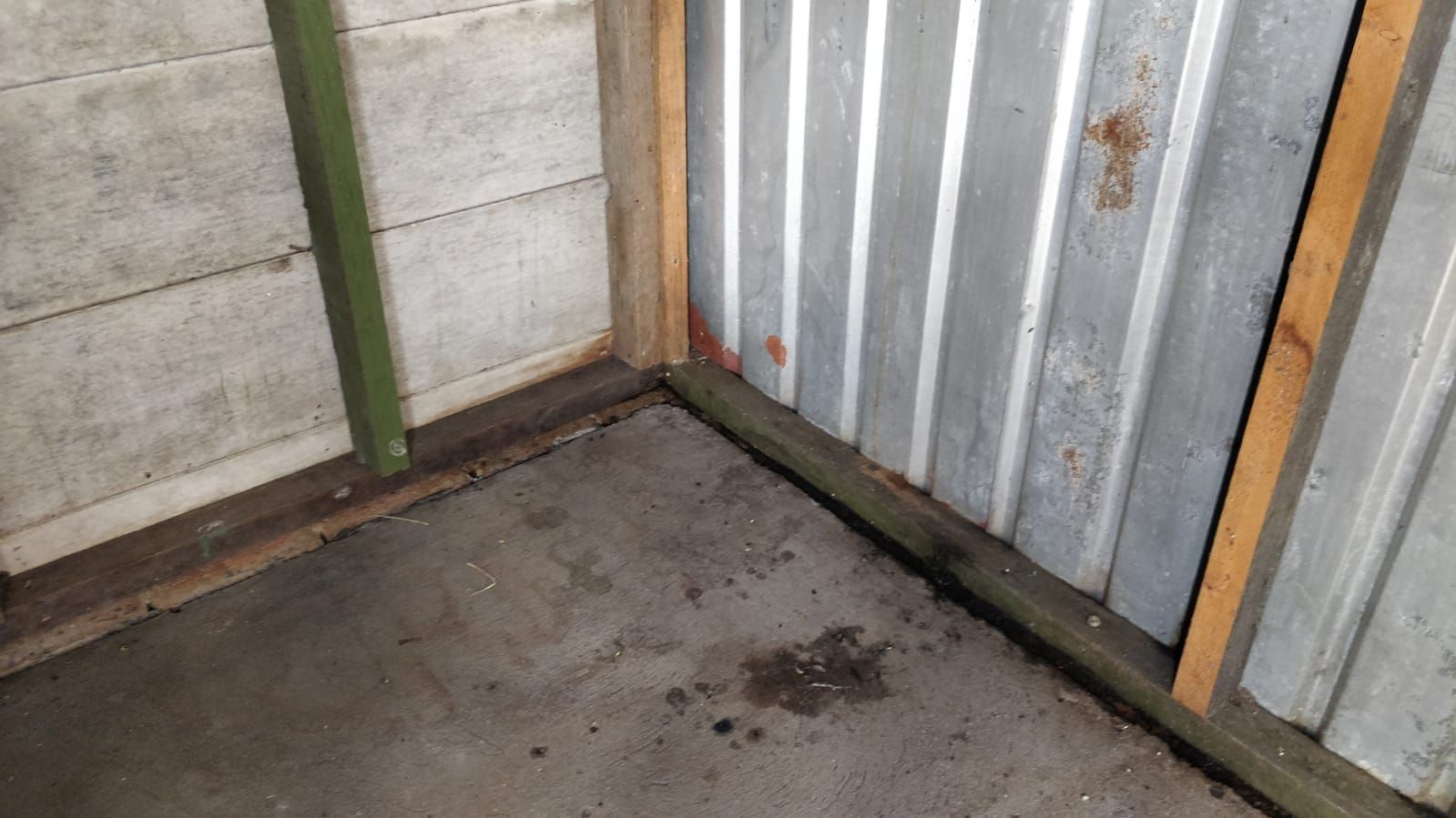 Solved How to waterproof existing garden shed? Bunnings