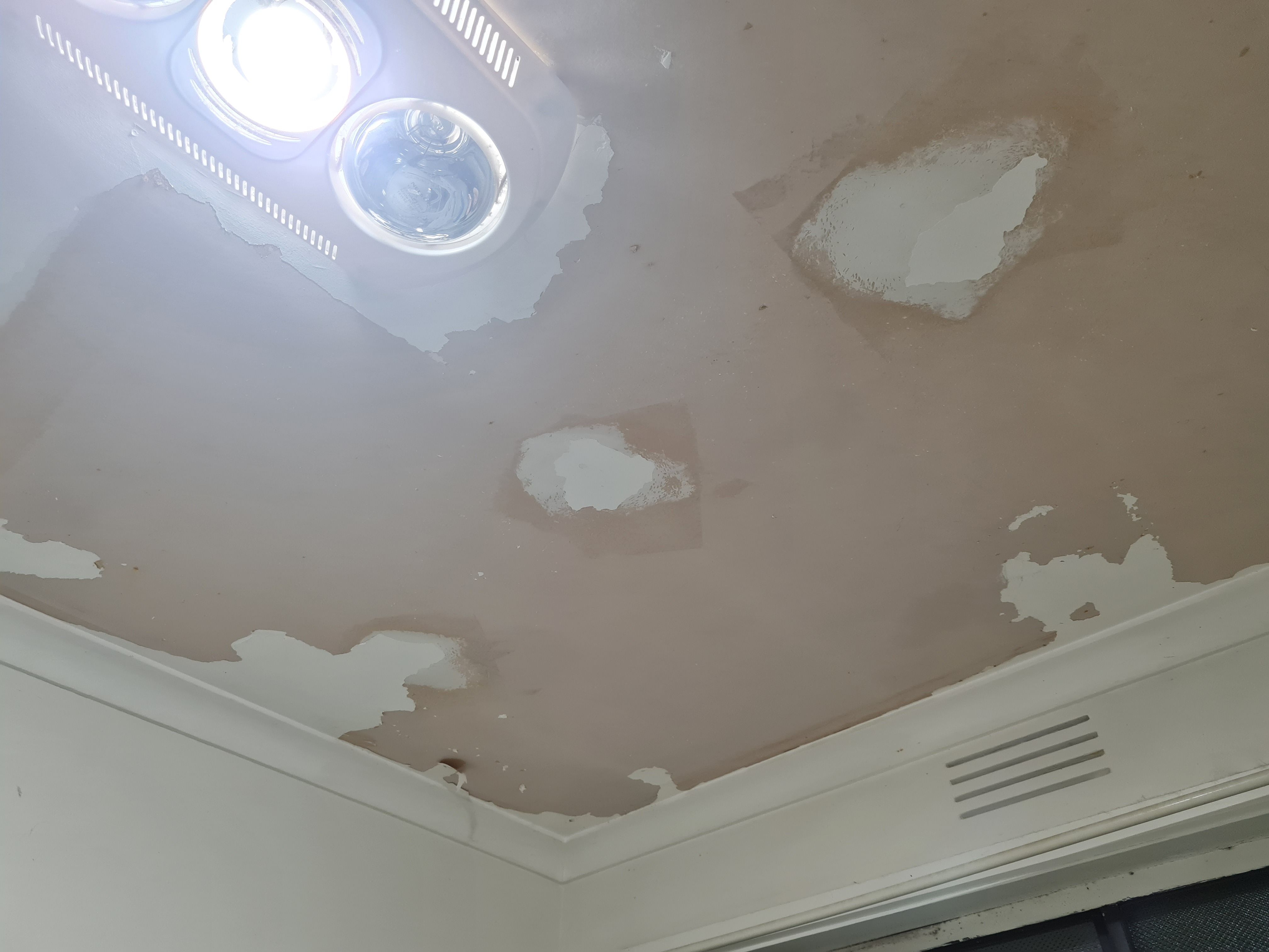 Solved Bathroom ceiling paint peeling Bunnings community