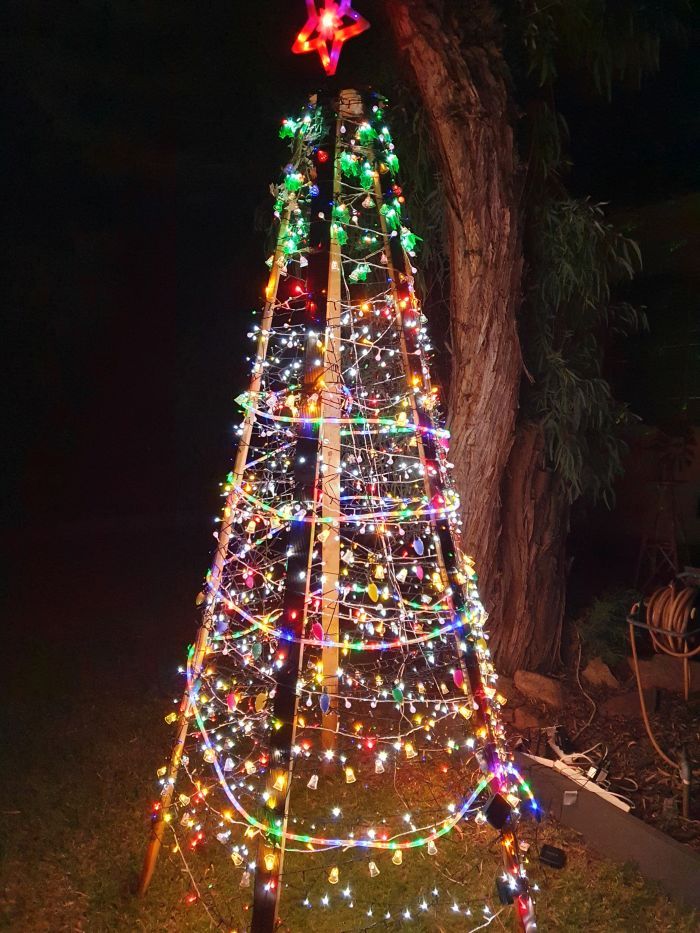 Christmas tree Bunnings community