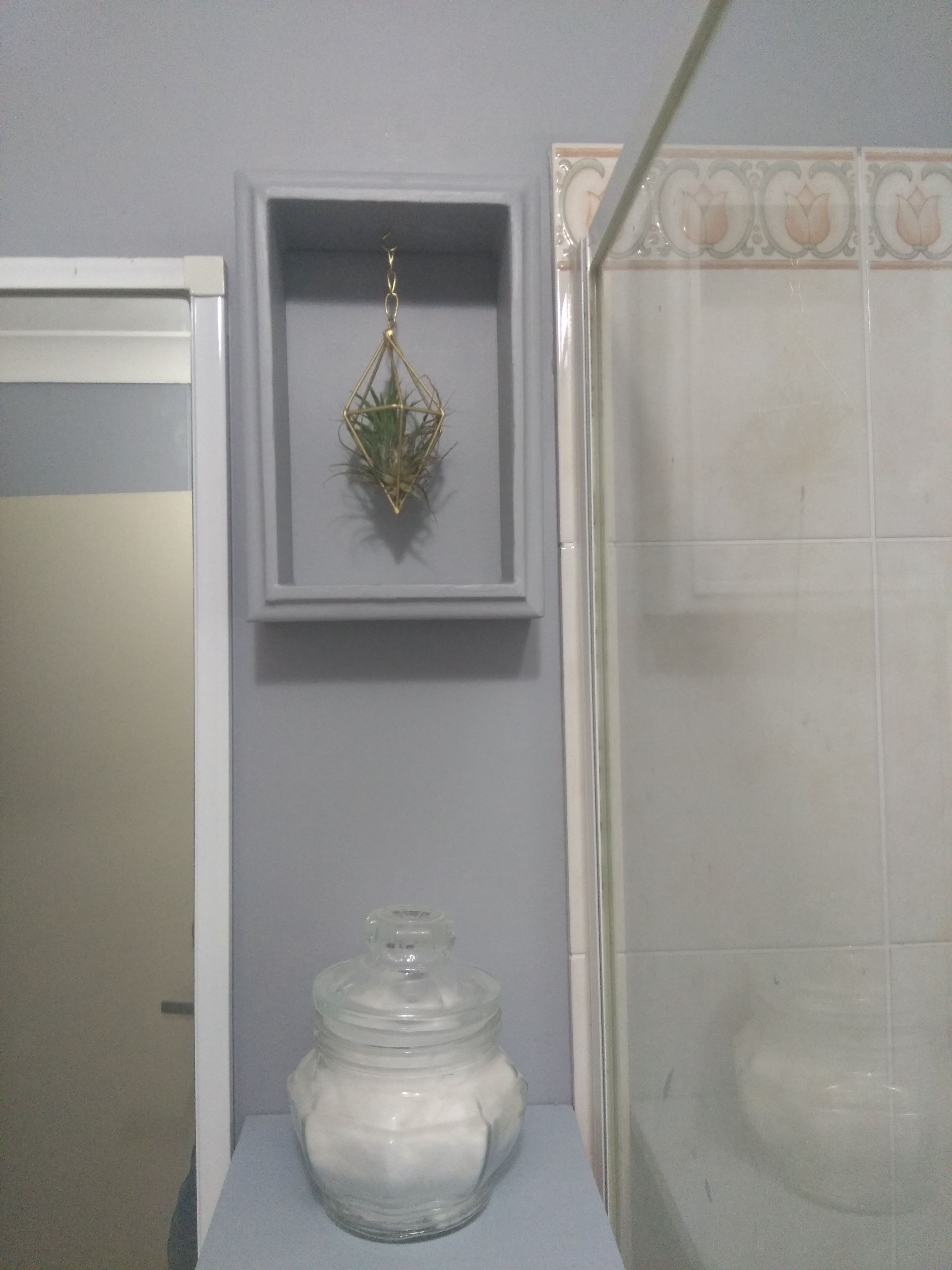 Air plant shadow box Bunnings community