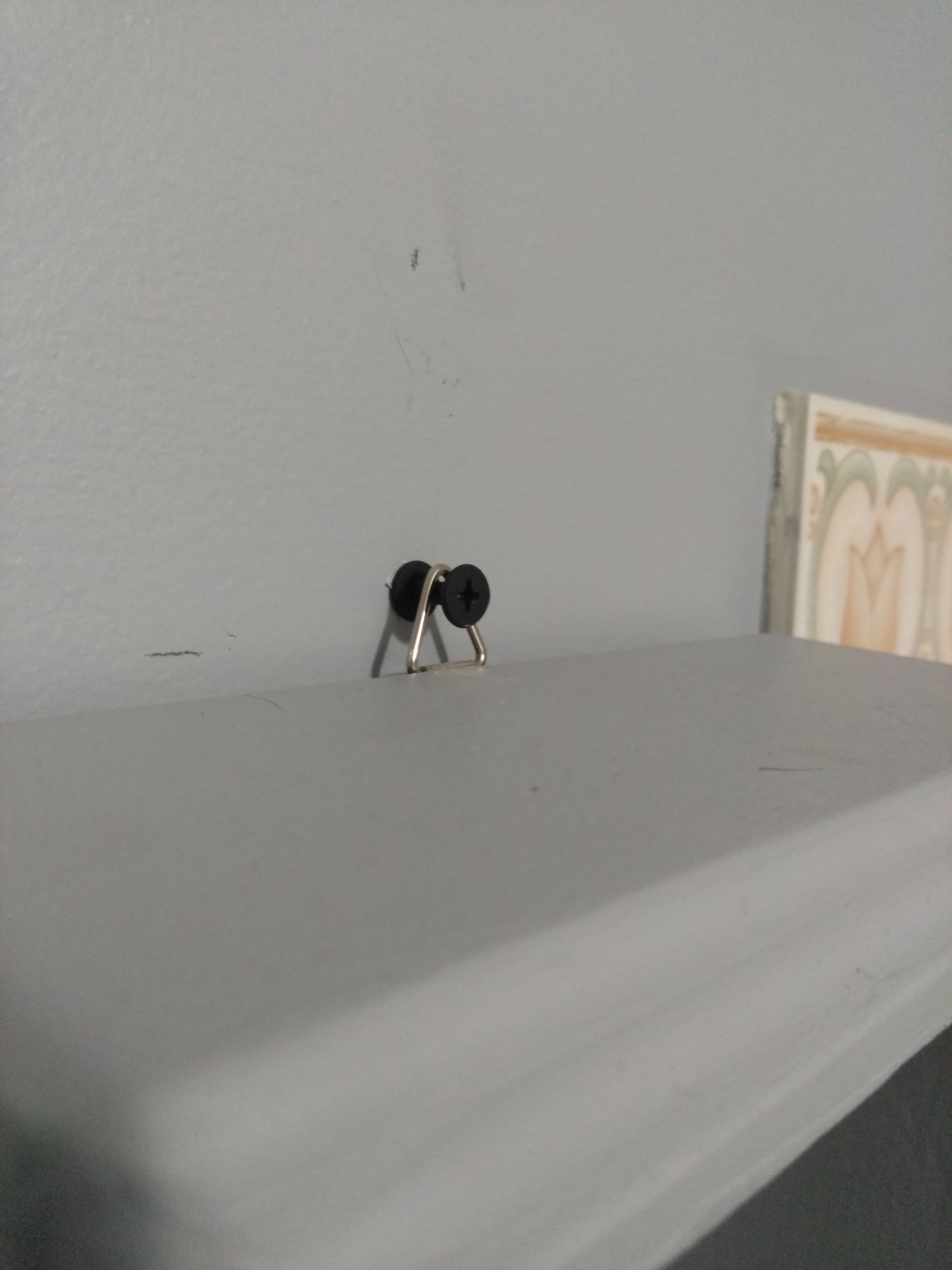 Air plant shadow box Bunnings community