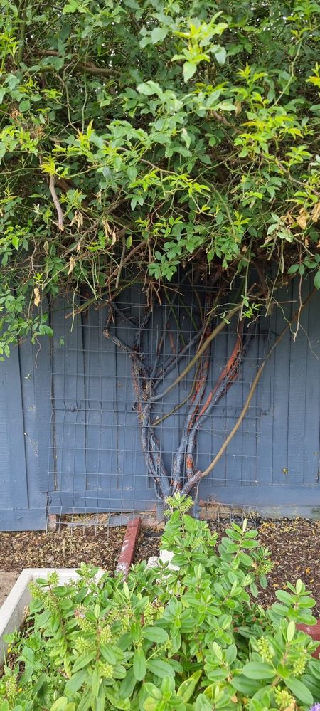 WhatsApp Image 2022-01-05 at 12.48.15 (2).jpeg