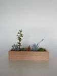 Wooden Succulent Planter 2