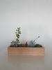 Wooden Succulent Planter 2