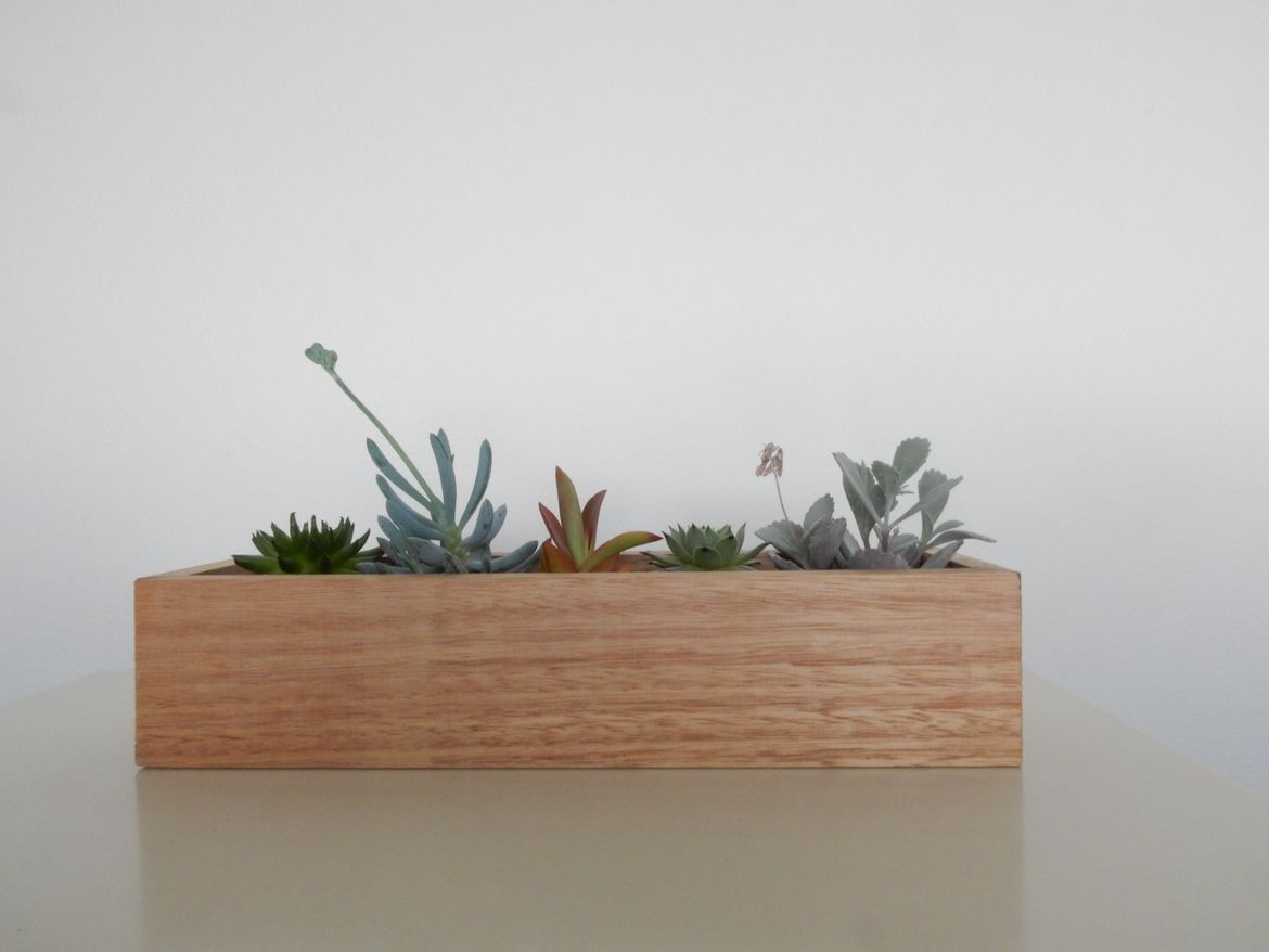 Wooden Succulent Planter
