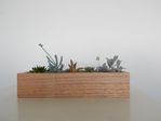 Wooden Succulent Planter