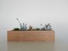 Wooden Succulent Planter