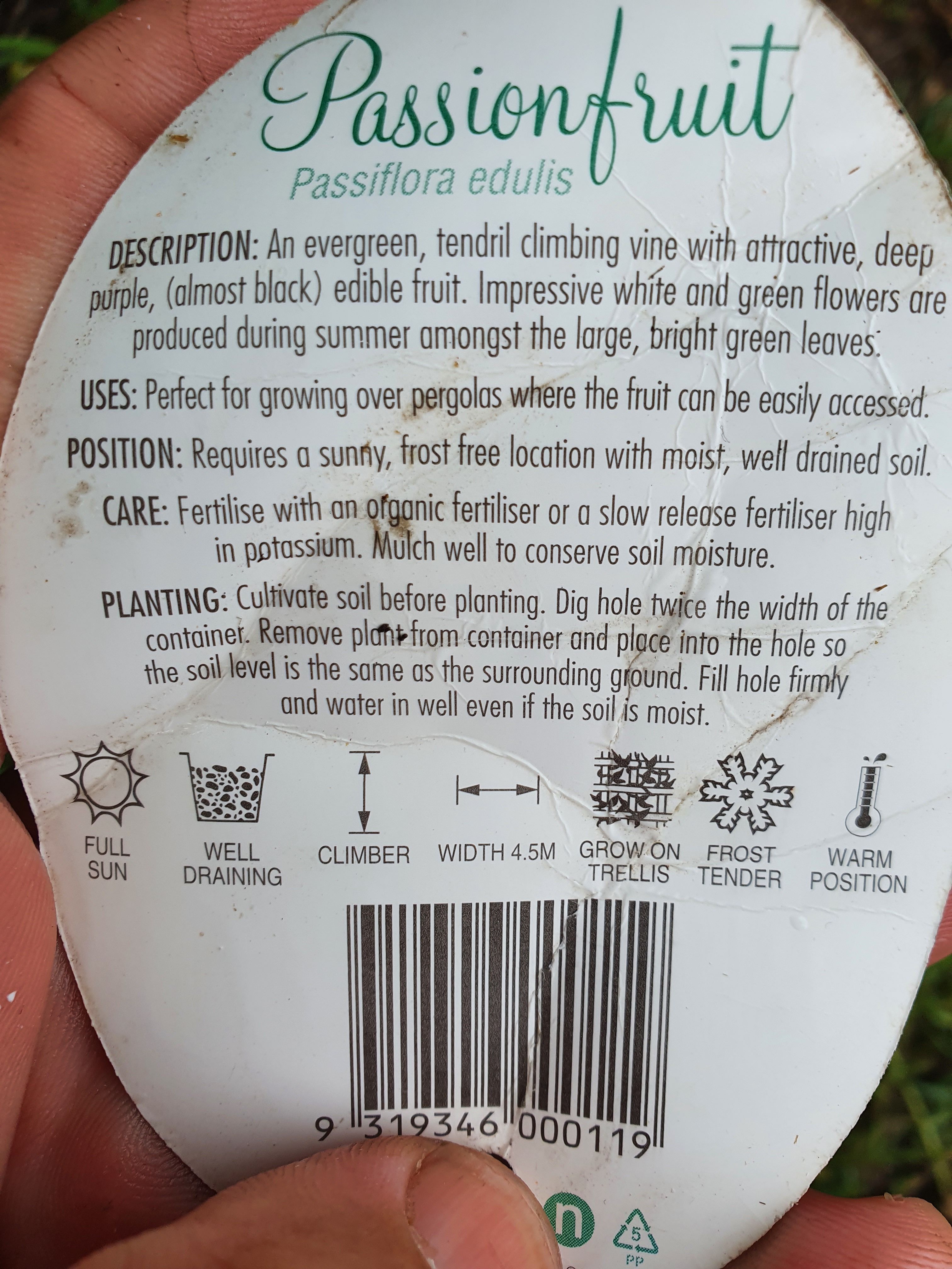 Passionfruit flowering but not fruiting Bunnings community