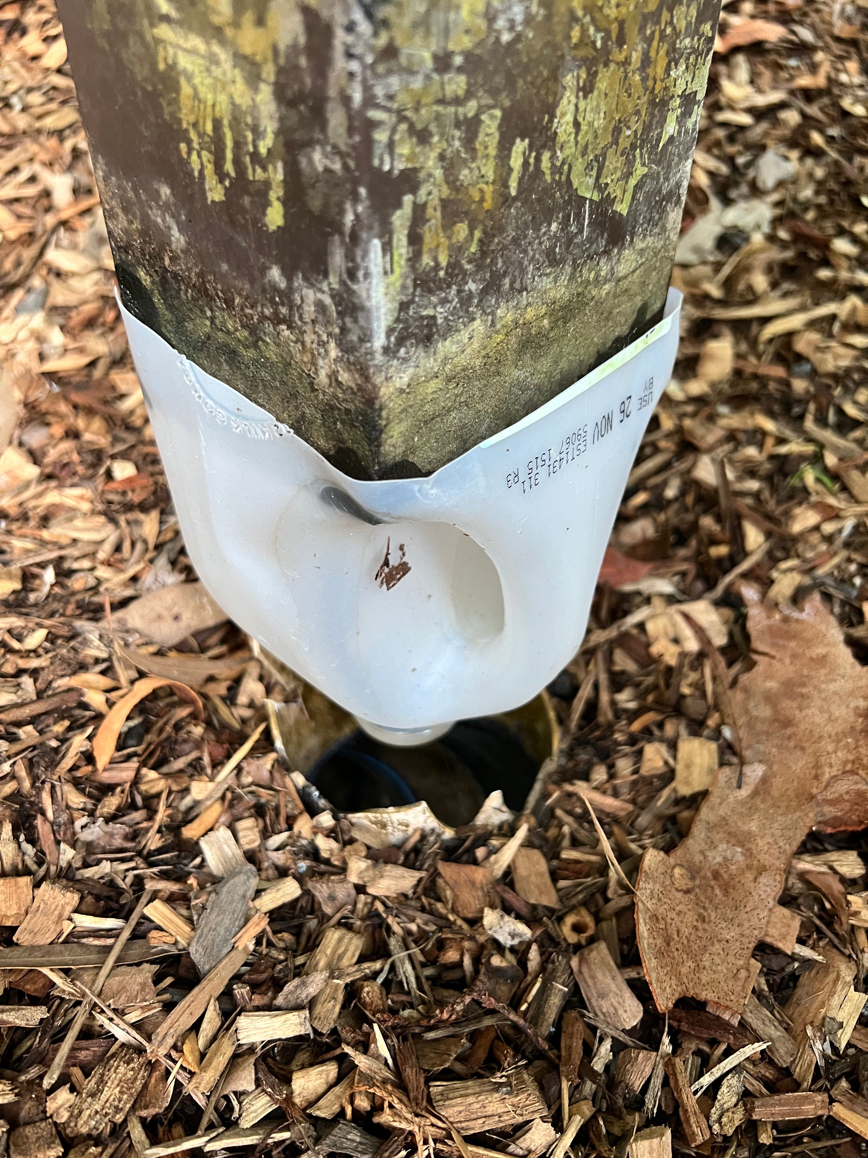How to connect rectangular down pipe wit... Bunnings community