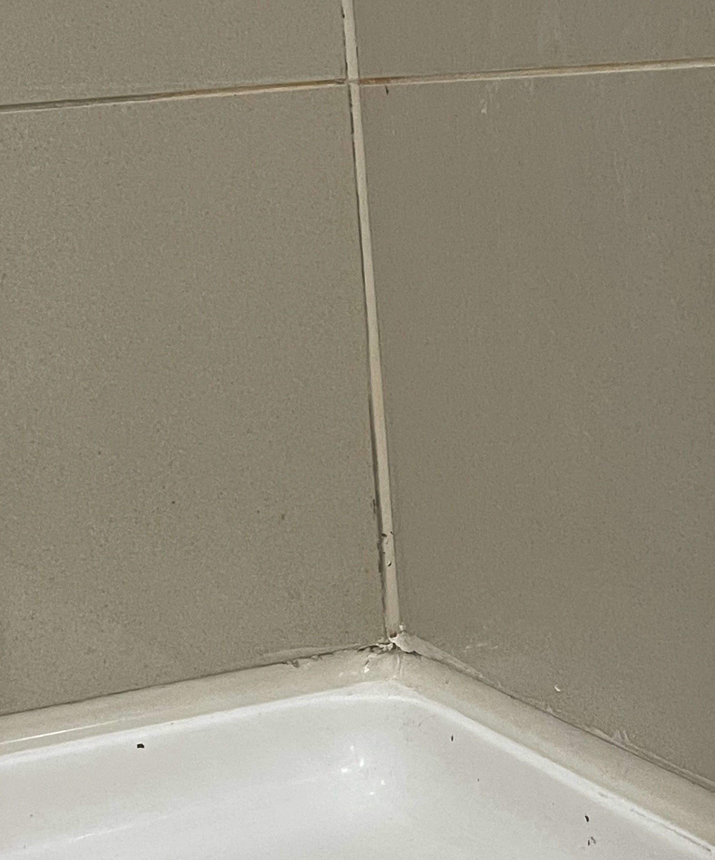 How to fix this caulking Bunnings community