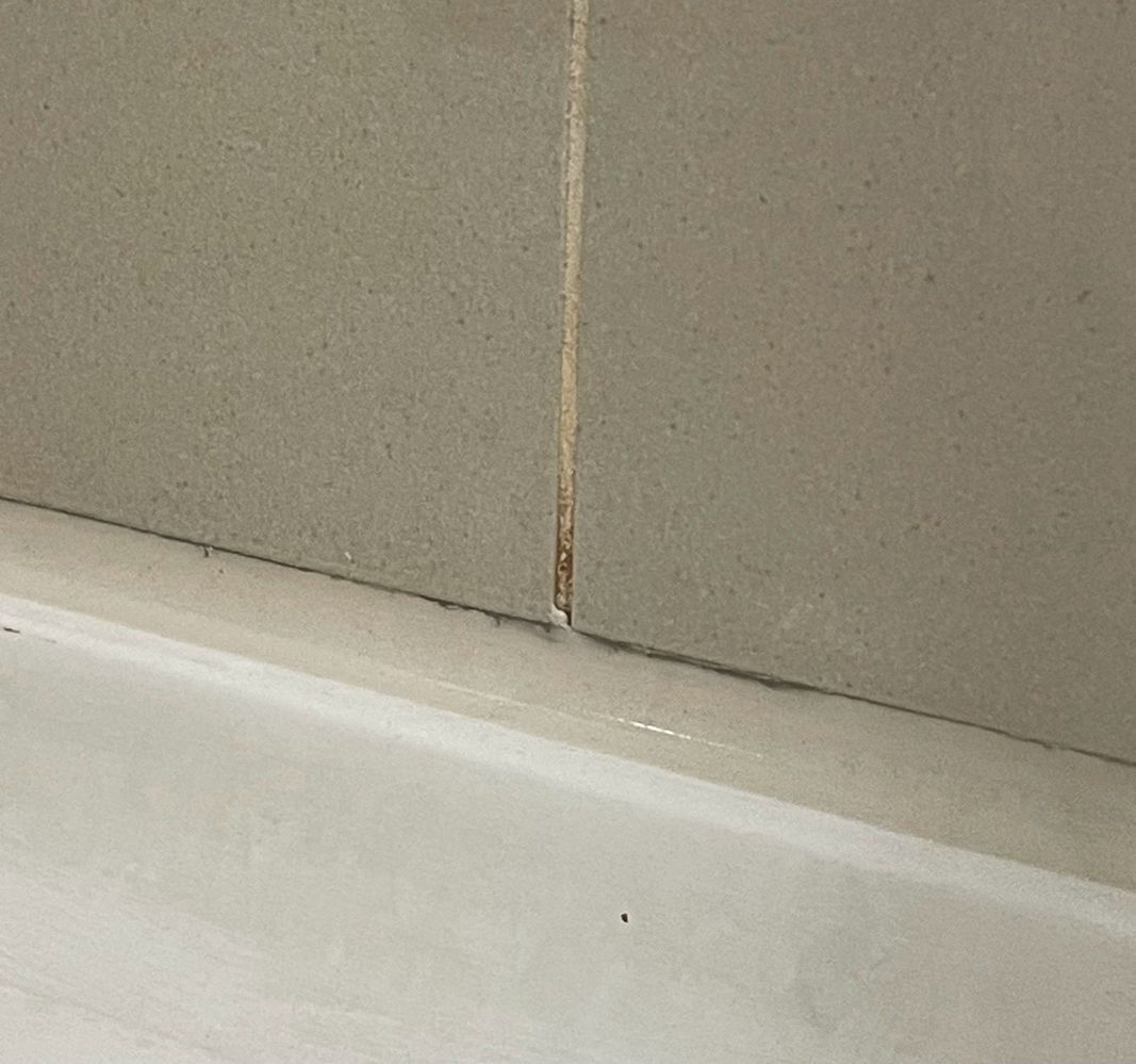 Replace grout or swipe on some caulk?