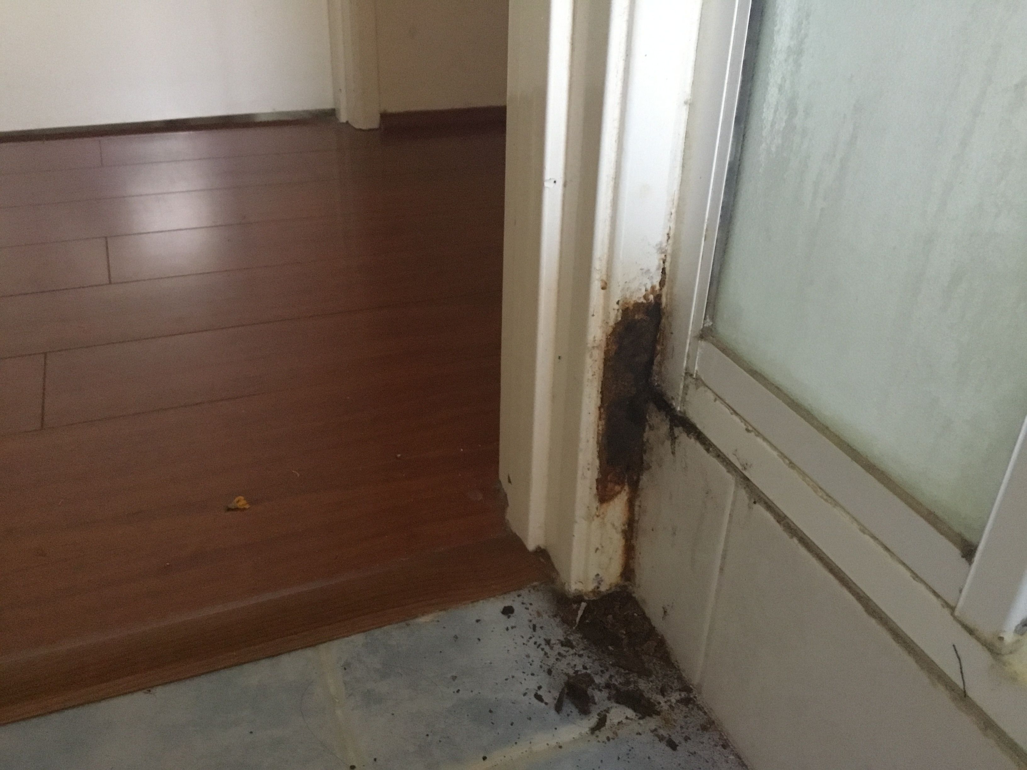 How do I fix a rusted door frame next to... Bunnings community