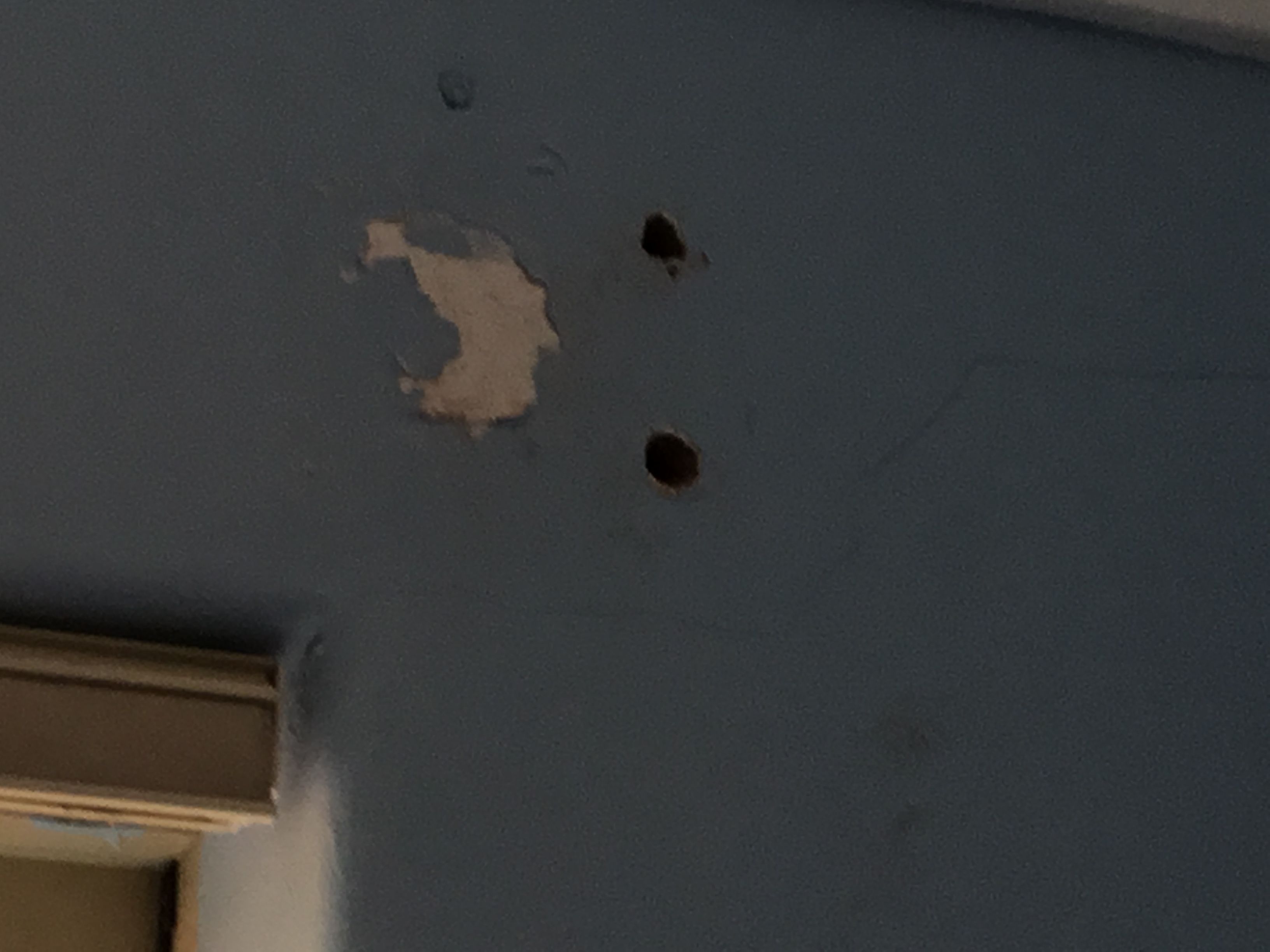 How do I repair small holes in the wall Bunnings community