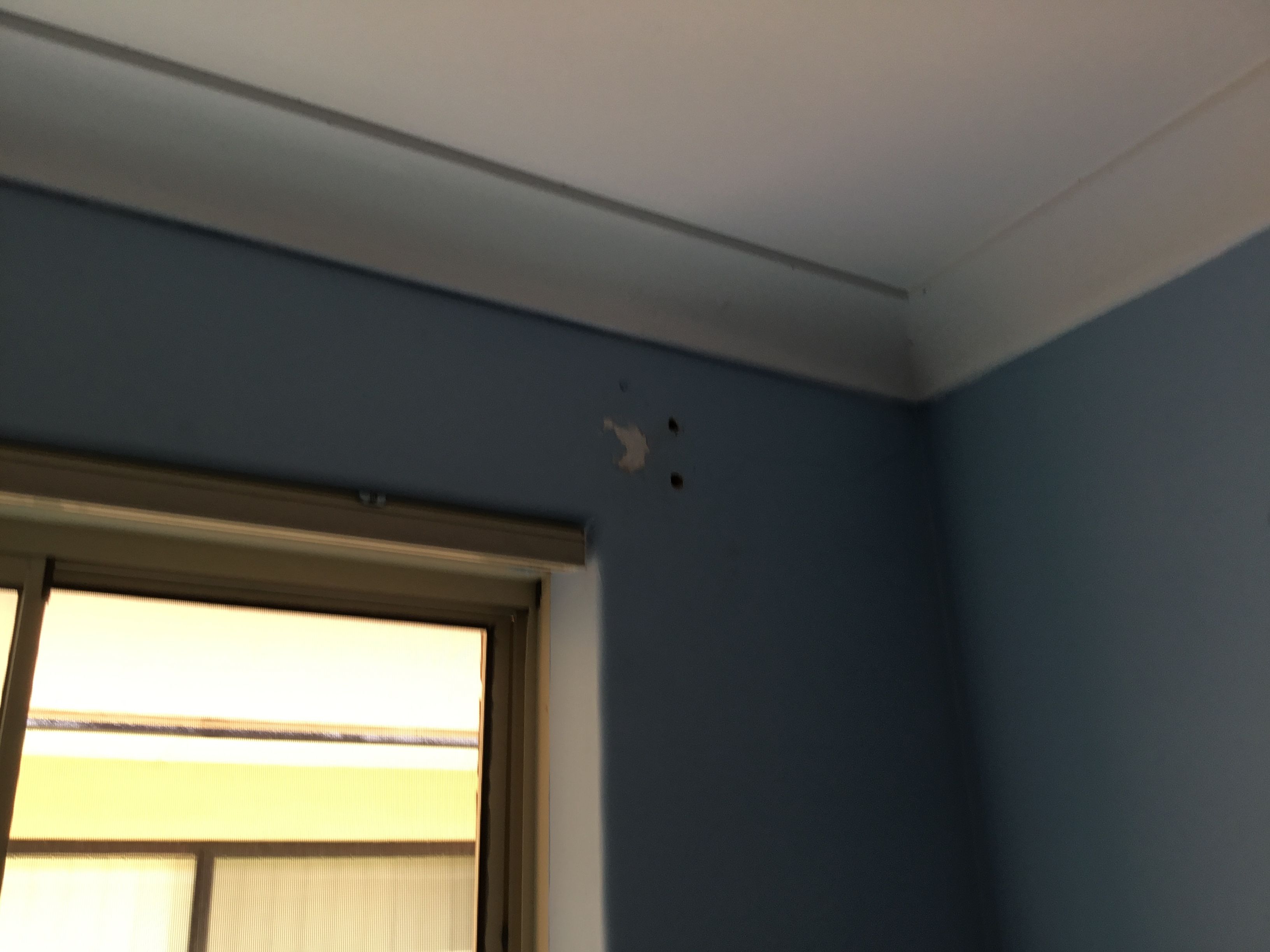 How do I repair small holes in the wall Bunnings community