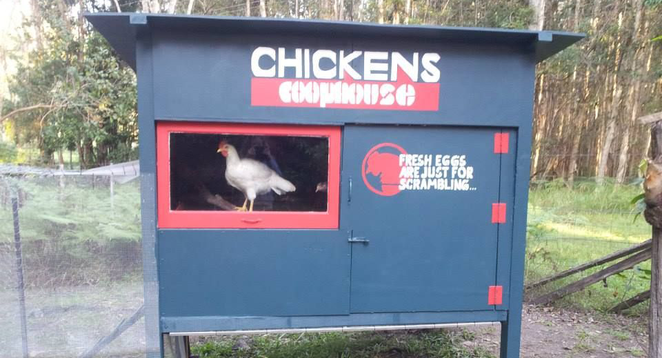 Chicken coops and nesting boxes Bunnings community