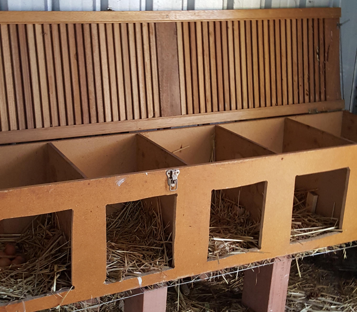 jennyweston Chicken laying box.png