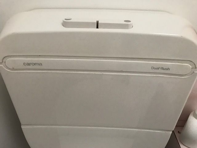 Caroma Dual flush