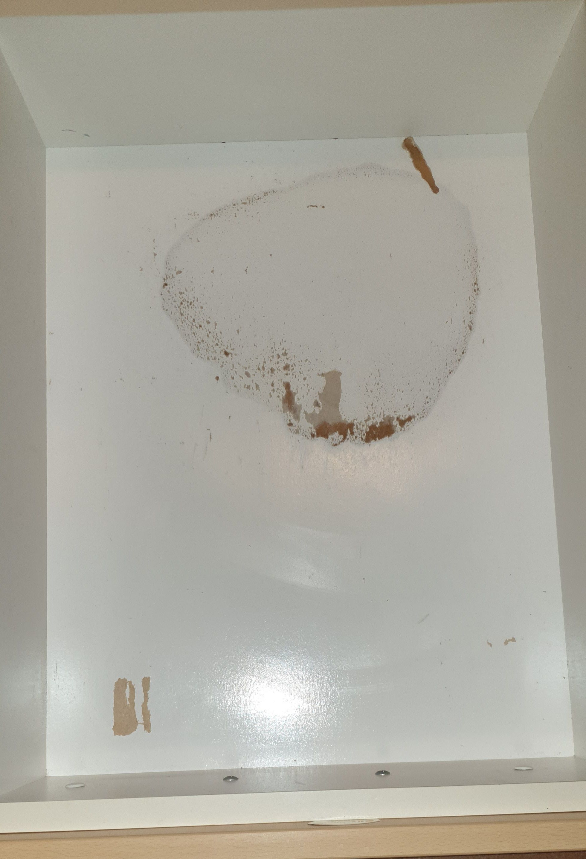 How to replace bottom of kitchen drawer? Bunnings community