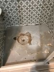 Shower Base.jpg