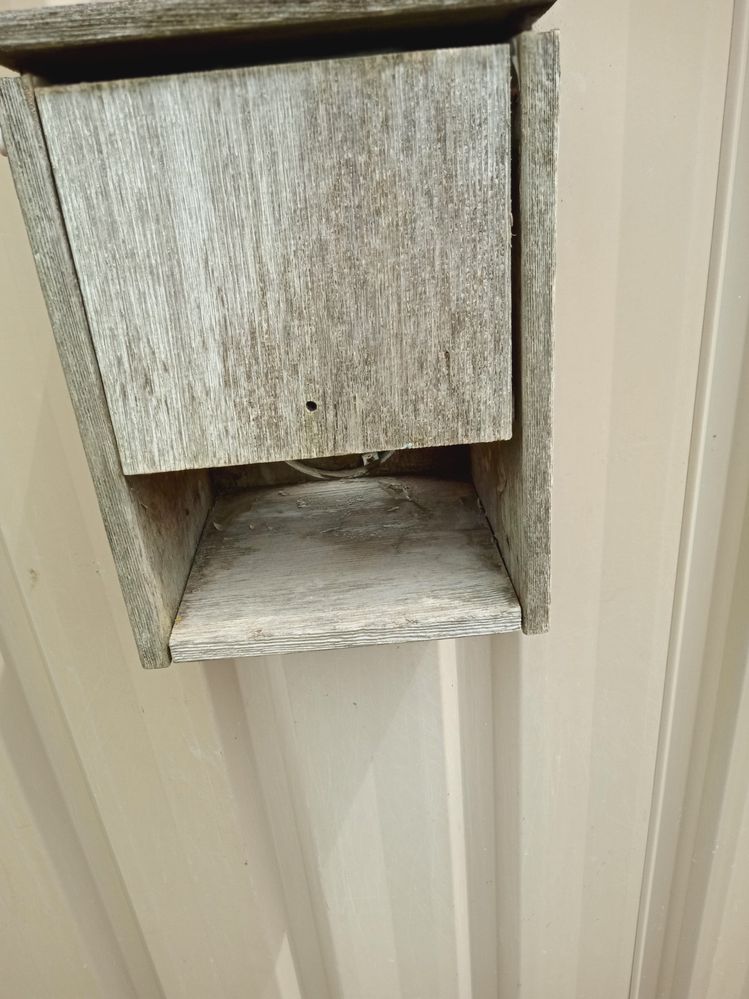 Old Letterbox 1