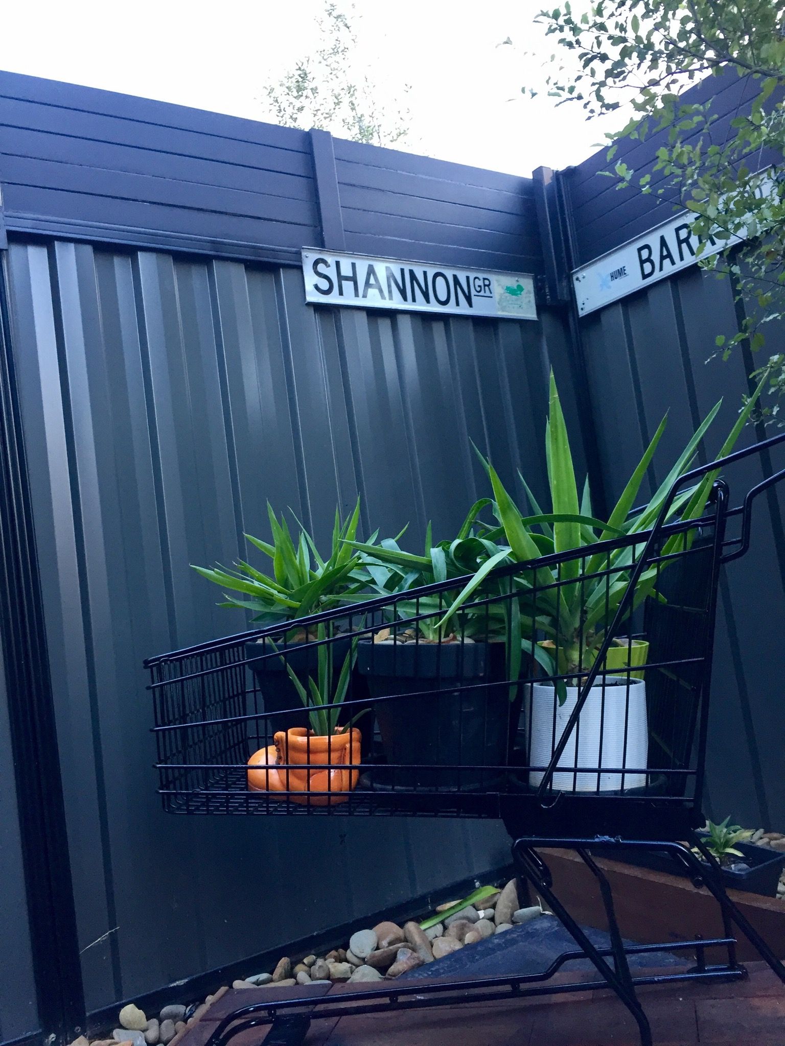 What to do with those trolleys that get Bunnings community