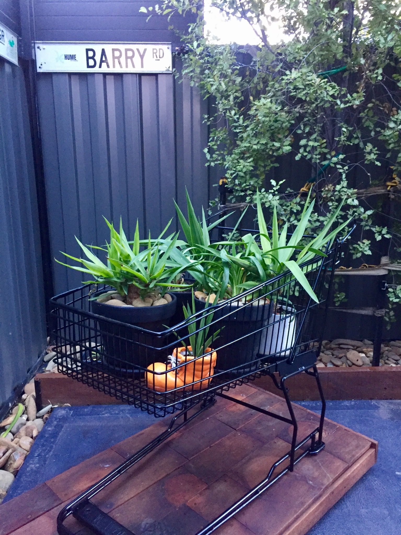 What to do with those trolleys that get Bunnings community