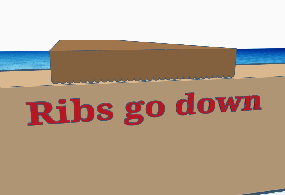 Ribs.png