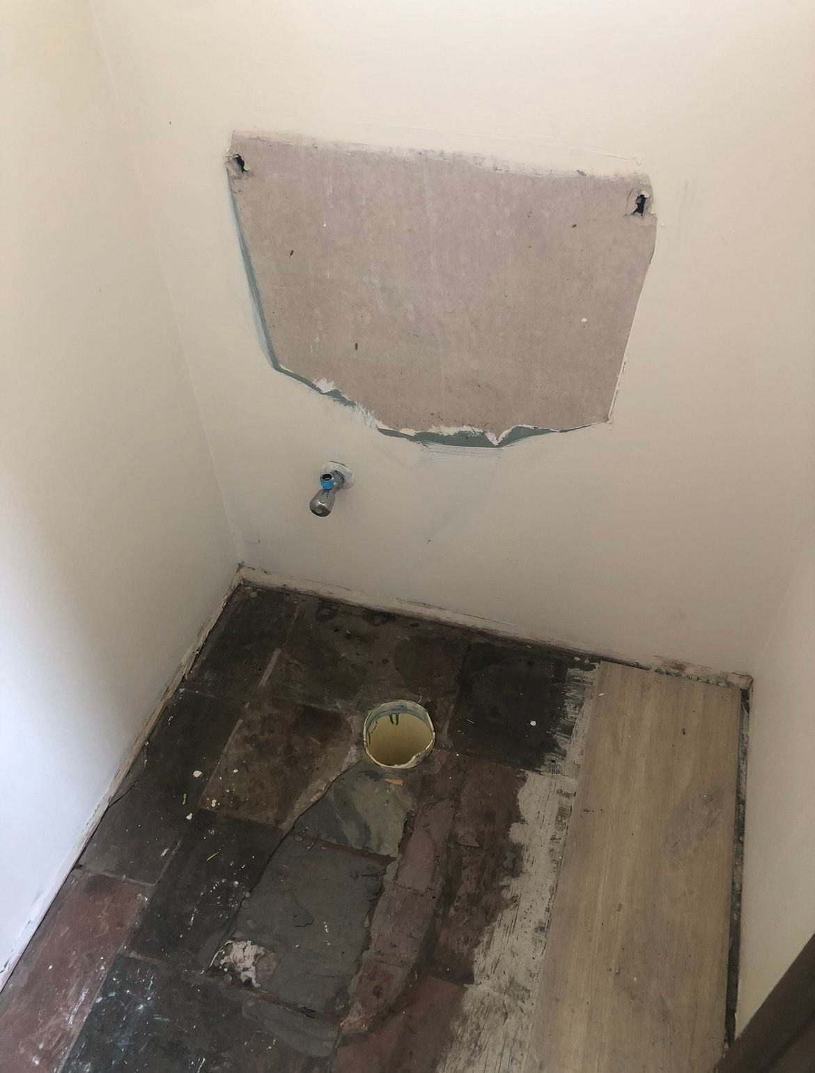 What toilet should I install? Bunnings community