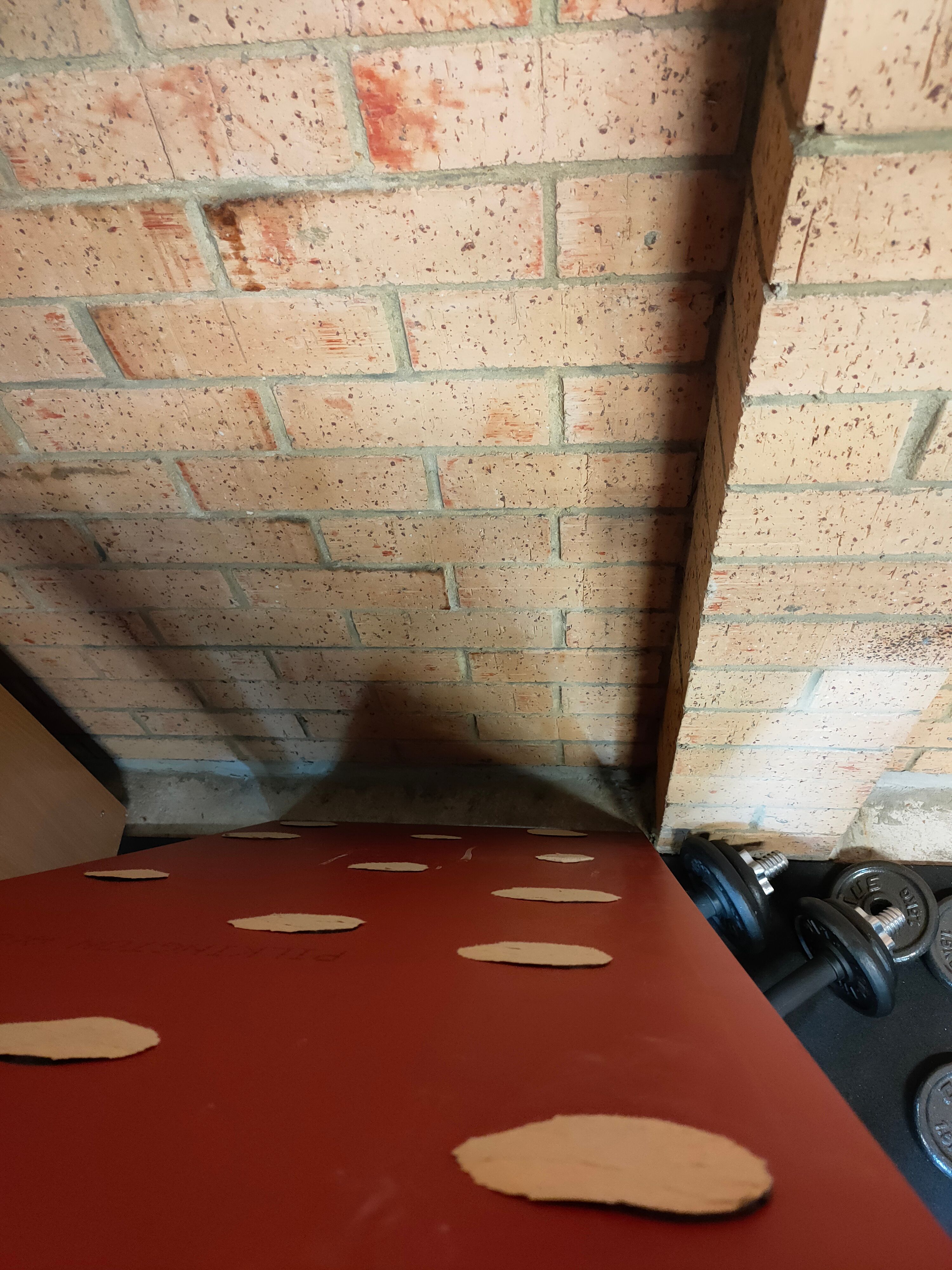 How to stick mirror on brick wall? Page 2 Bunnings community