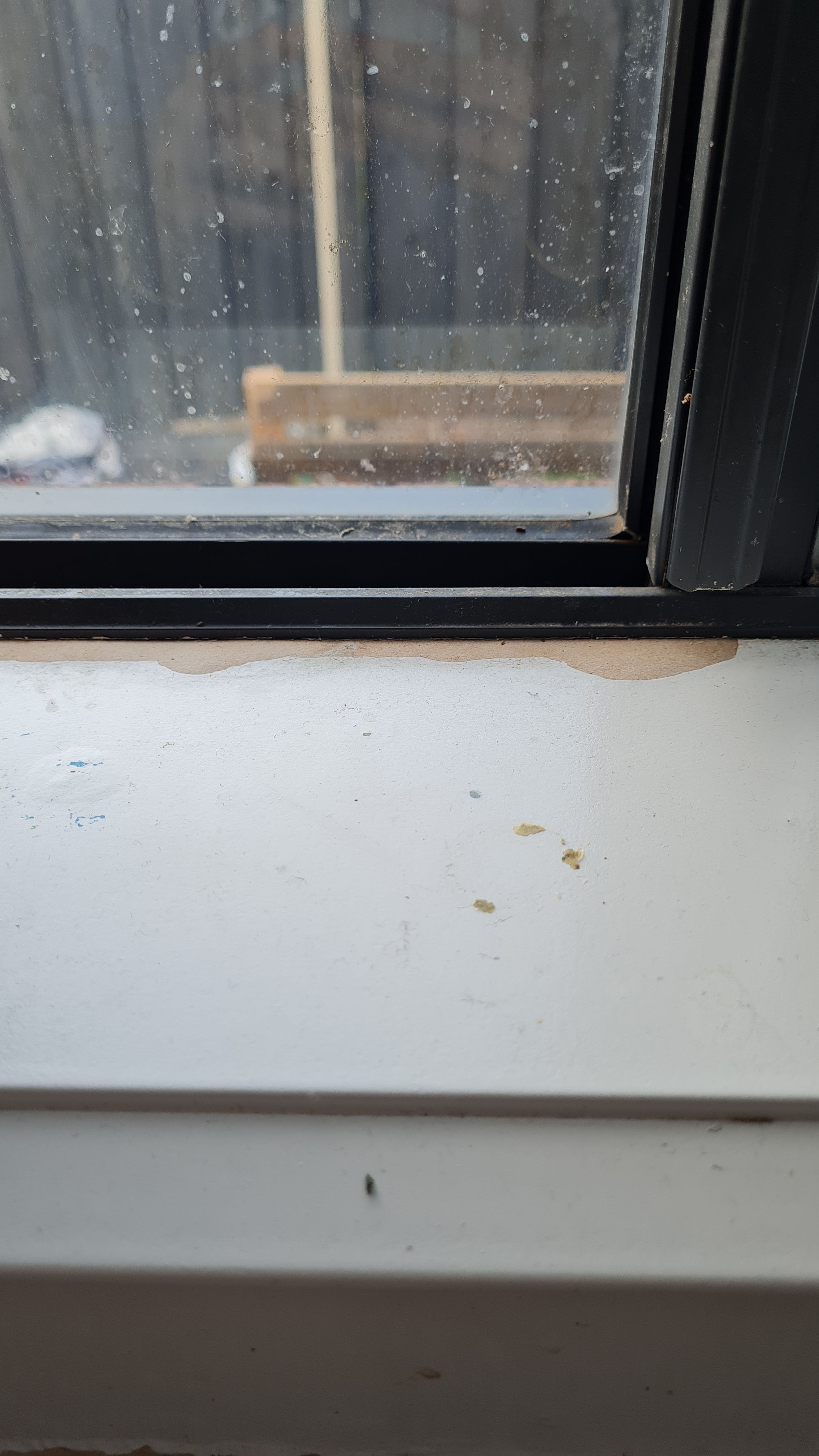 How to fix window sill damaged from wate... Bunnings community