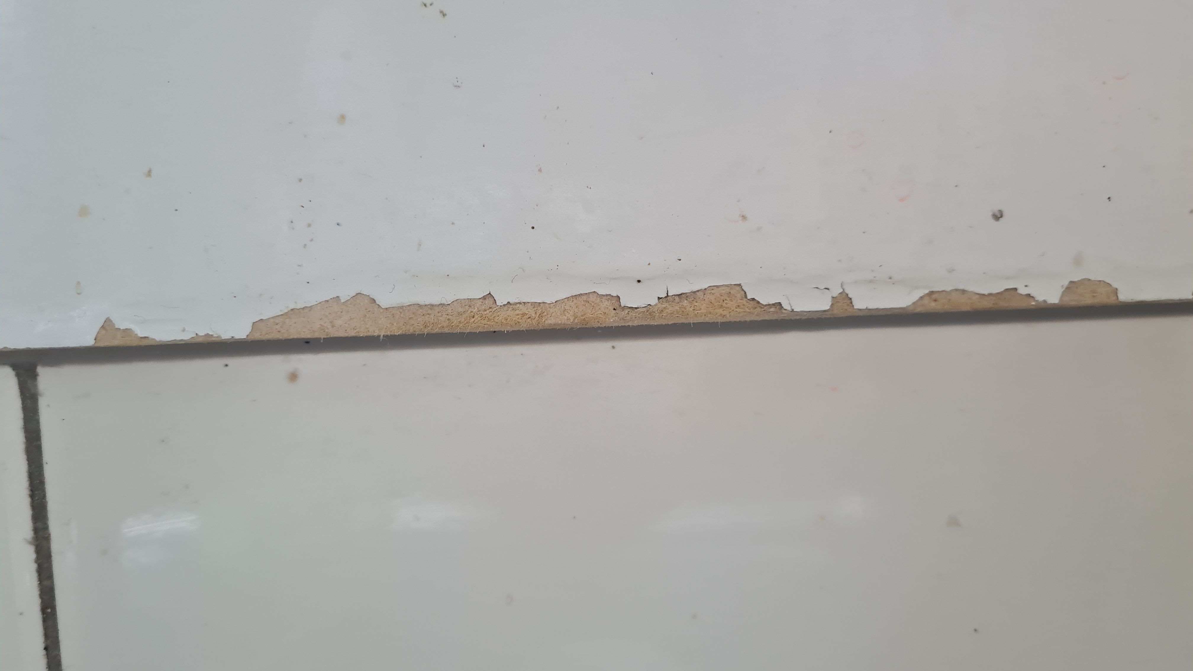 How to fix window sill damaged from wate... Bunnings community