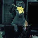 Profile (Maddogmick54)