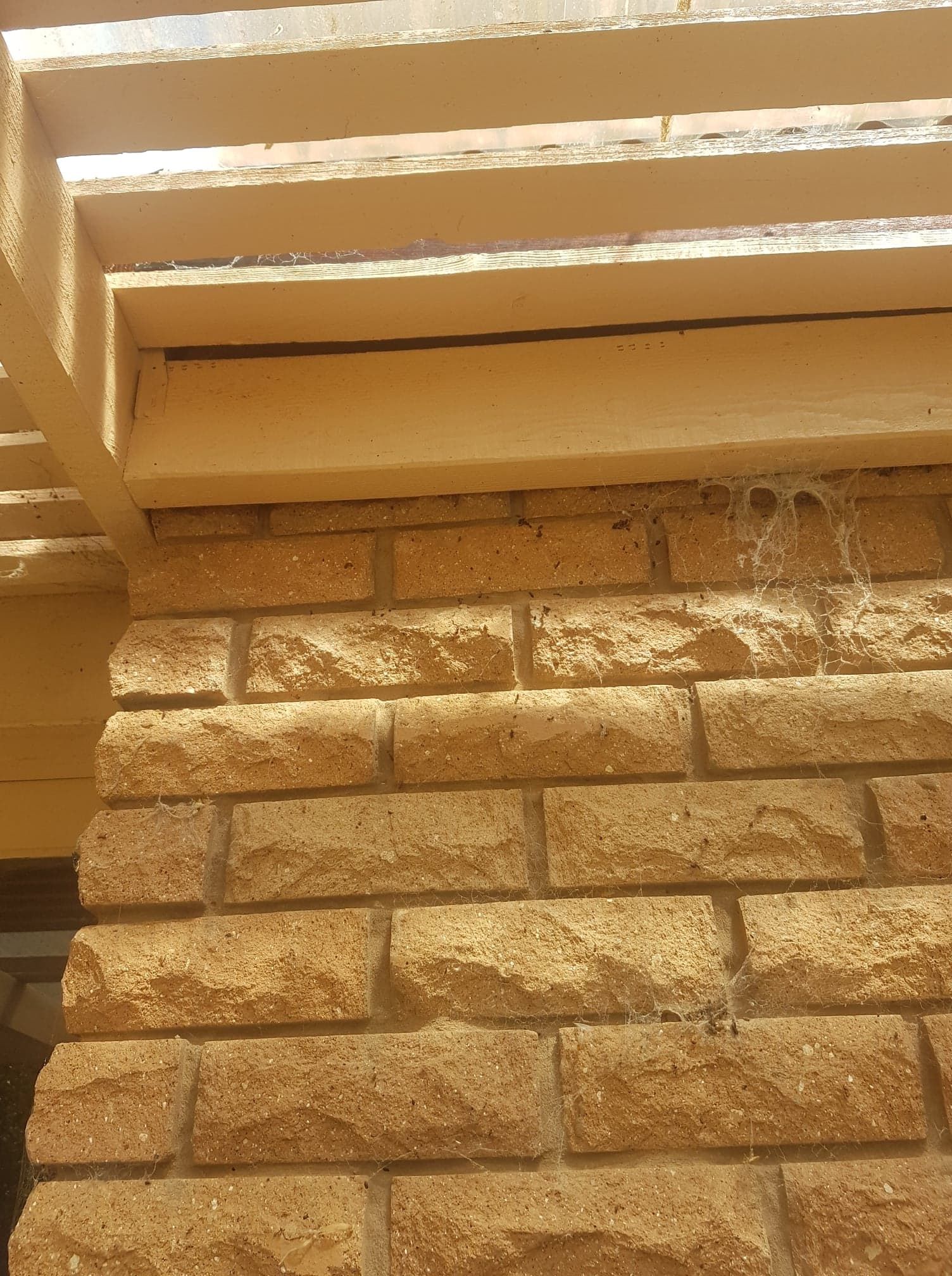 How to choose a colour to paint the trim... Bunnings community