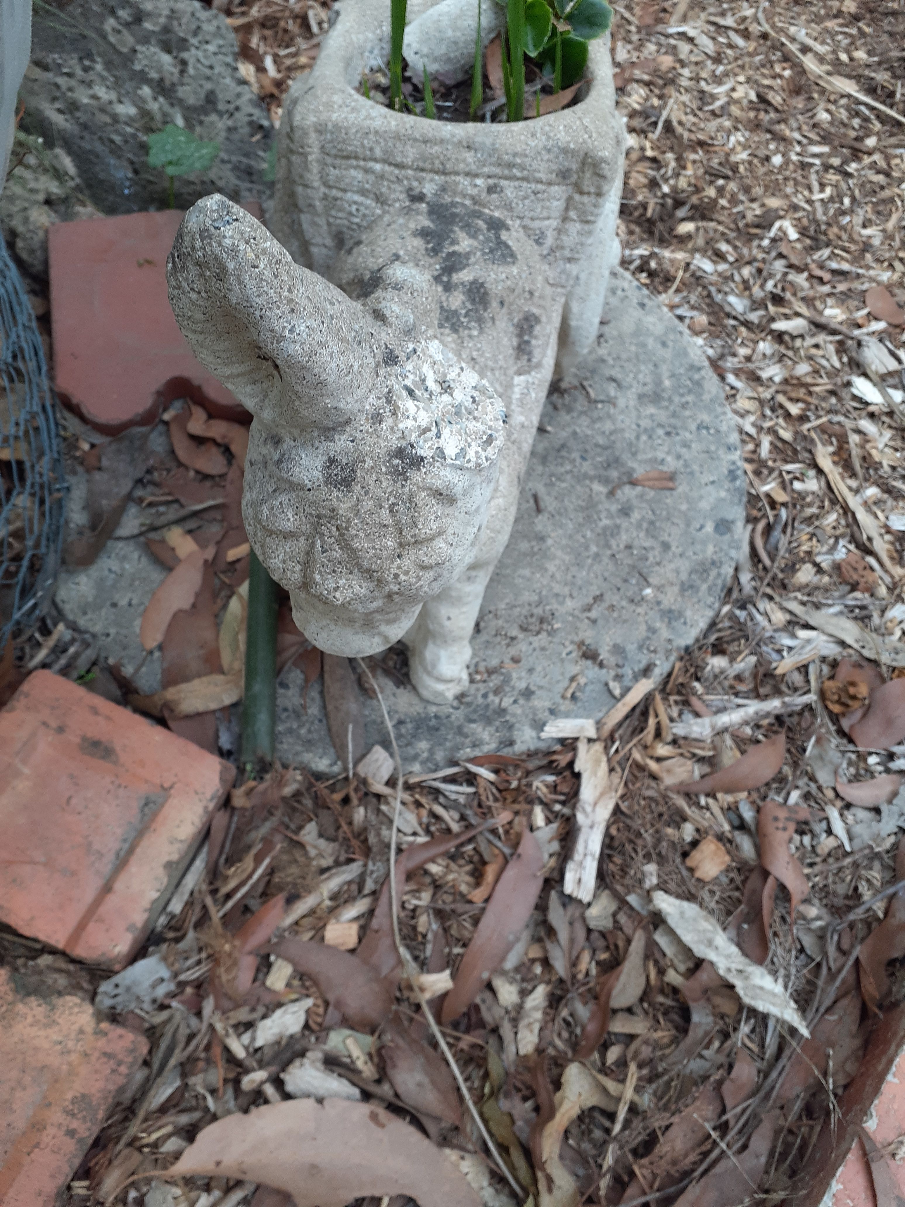 How to repair garden statues? Bunnings community