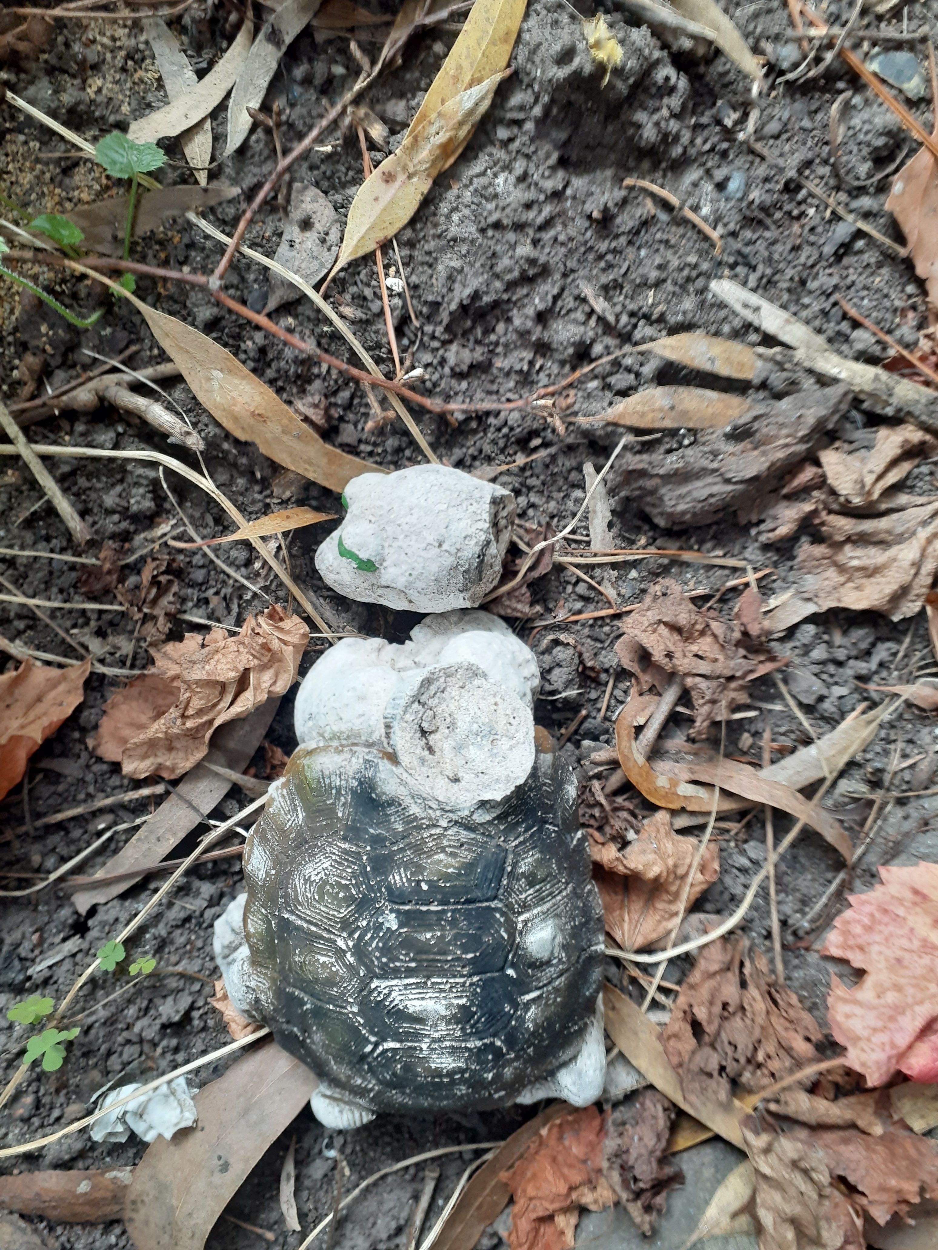 How to repair garden statues? Bunnings community