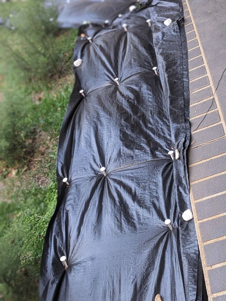 20220330 Weedmat on pins 1.jpg