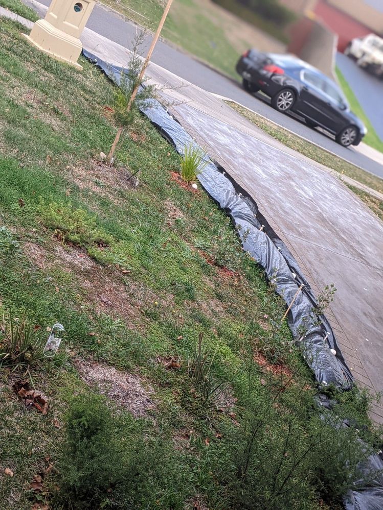 20220330 Weedmat on pin 4.jpg