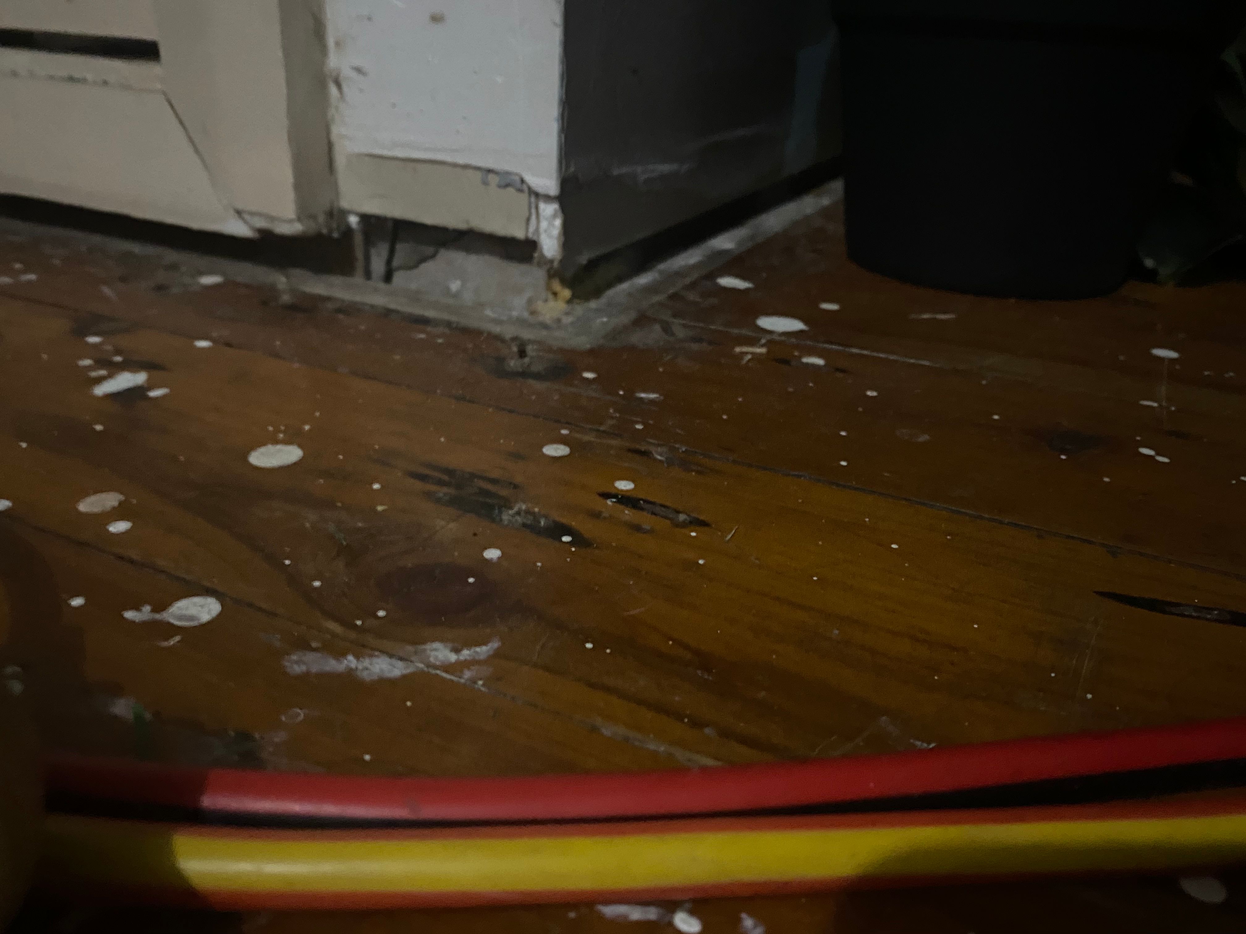 How to fill gaps under skirting boards a... Bunnings community