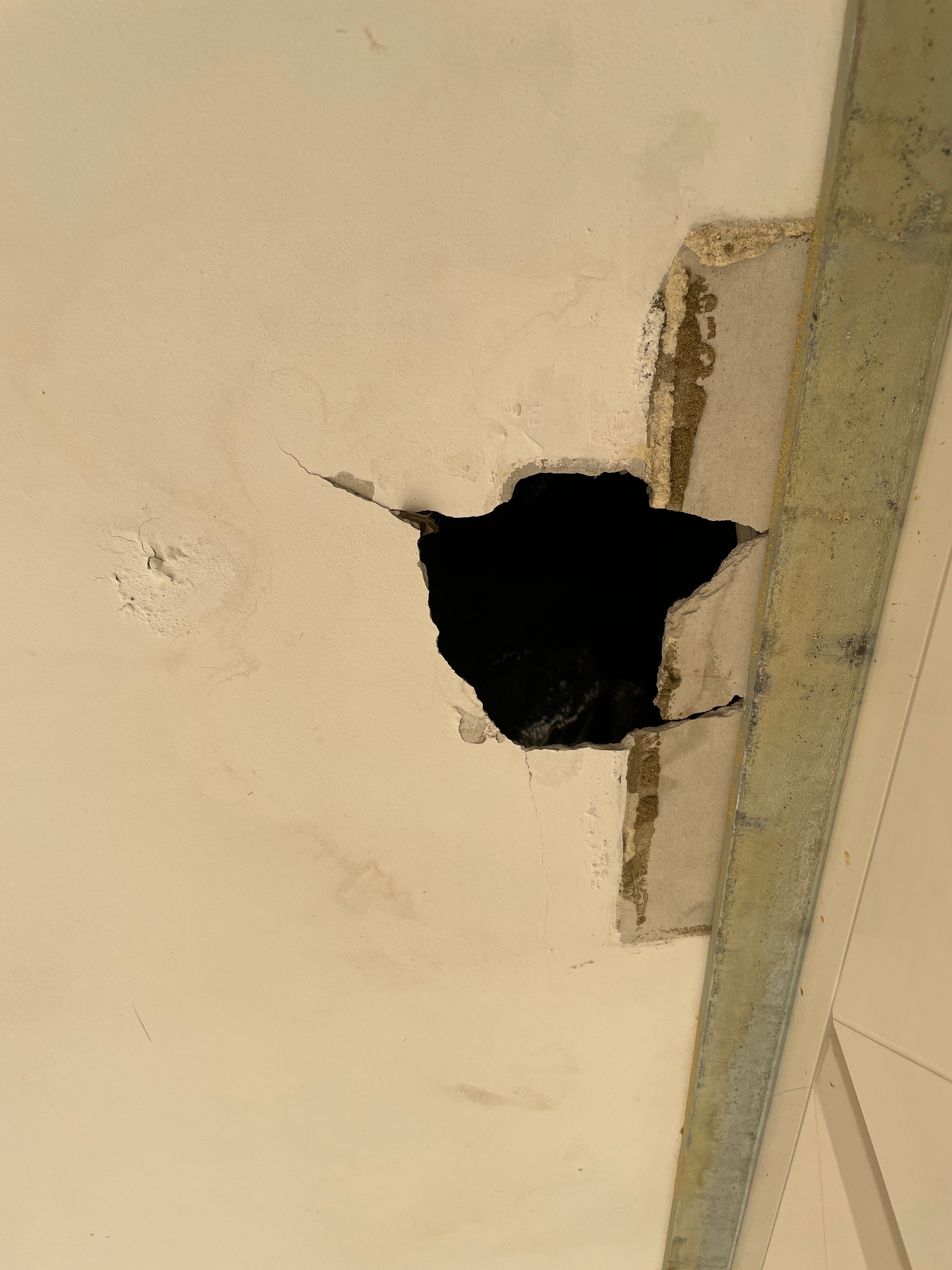 Solved How do I fix a hole in my eave? Bunnings community