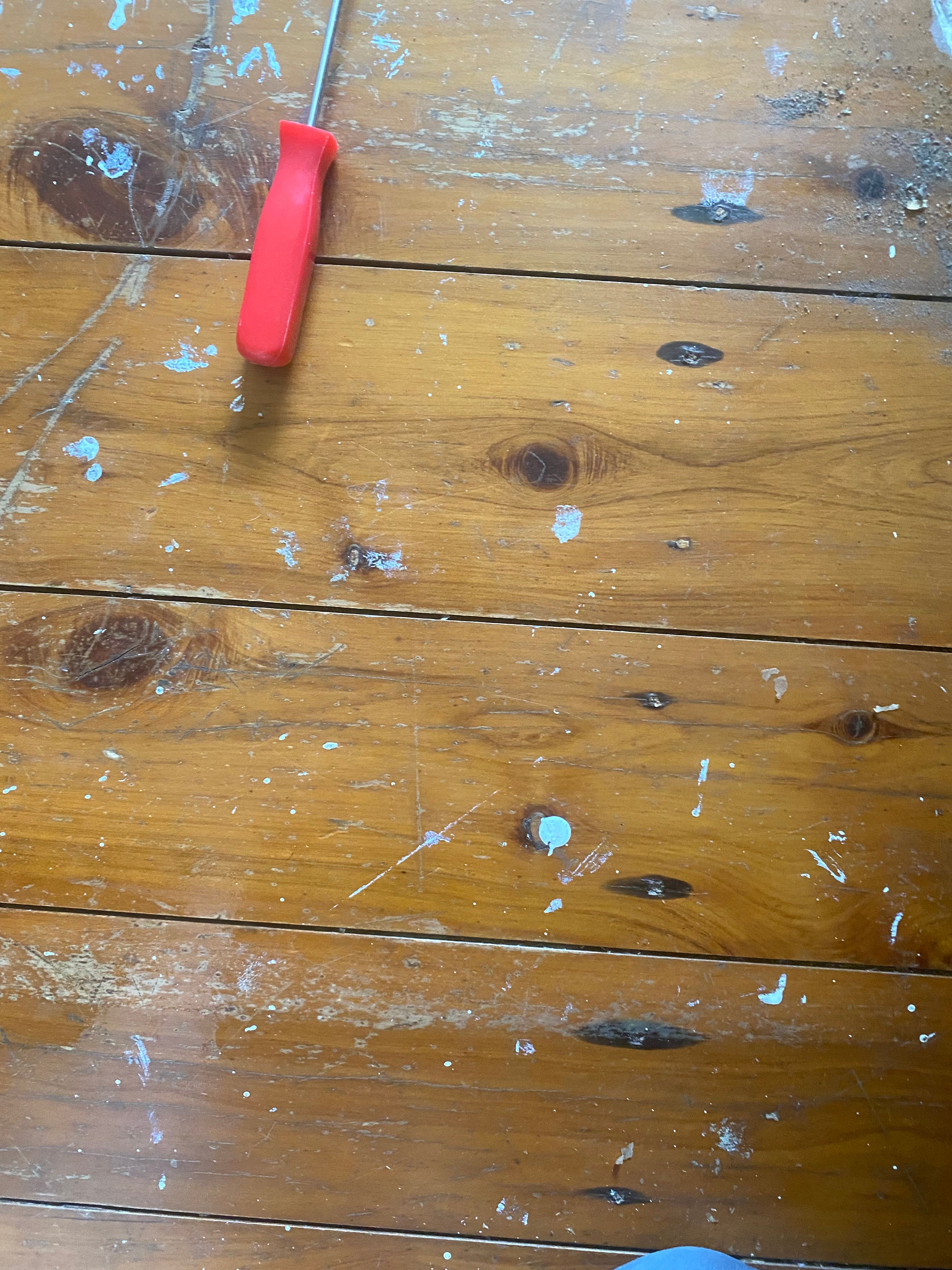 How to restore timber floorboards? Bunnings community