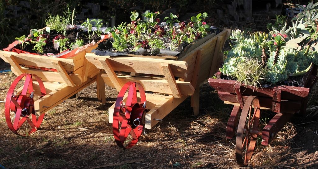 Bunnings Christmas stand as a wheel