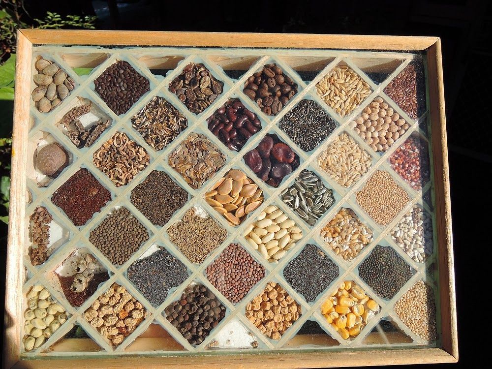 seed box from balsa wood